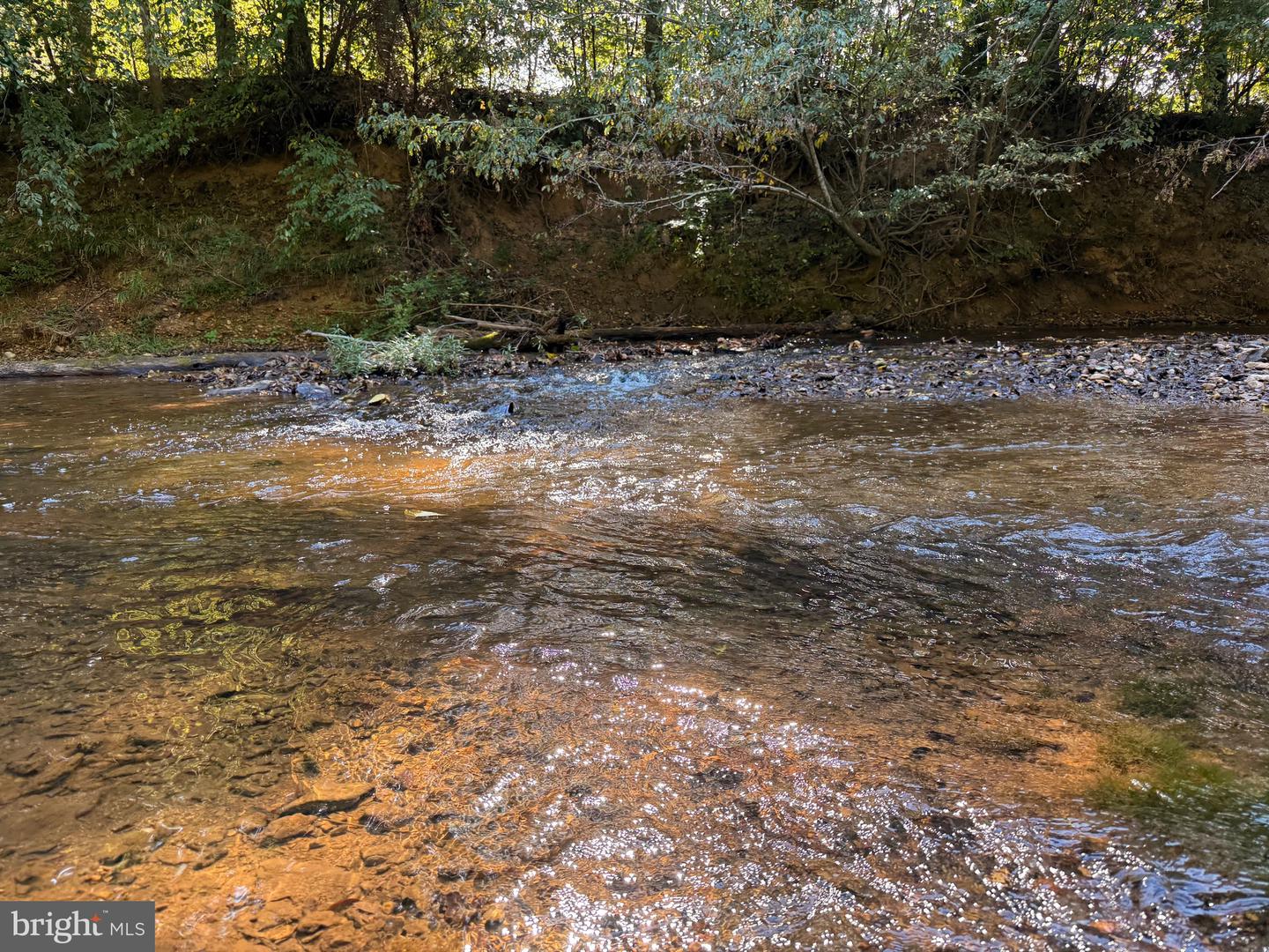 0 COLEMAN MOUNTAIN RD, APPOMATTOX, Virginia 24522, ,Farm,For sale,0 COLEMAN MOUNTAIN RD,VAAV2000038 MLS # VAAV2000038