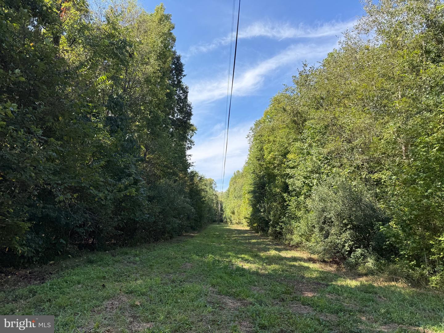 0 COLEMAN MOUNTAIN RD, APPOMATTOX, Virginia 24522, ,Farm,For sale,0 COLEMAN MOUNTAIN RD,VAAV2000038 MLS # VAAV2000038