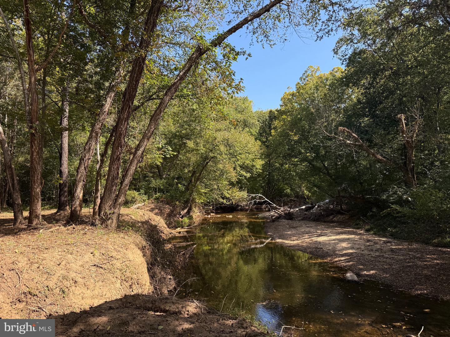 0 COLEMAN MOUNTAIN RD, APPOMATTOX, Virginia 24522, ,Farm,For sale,0 COLEMAN MOUNTAIN RD,VAAV2000038 MLS # VAAV2000038