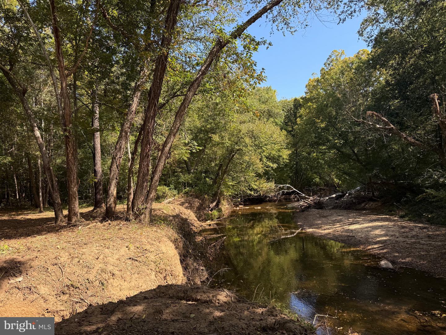 0 COLEMAN MOUNTAIN RD, APPOMATTOX, Virginia 24522, ,Farm,For sale,0 COLEMAN MOUNTAIN RD,VAAV2000038 MLS # VAAV2000038