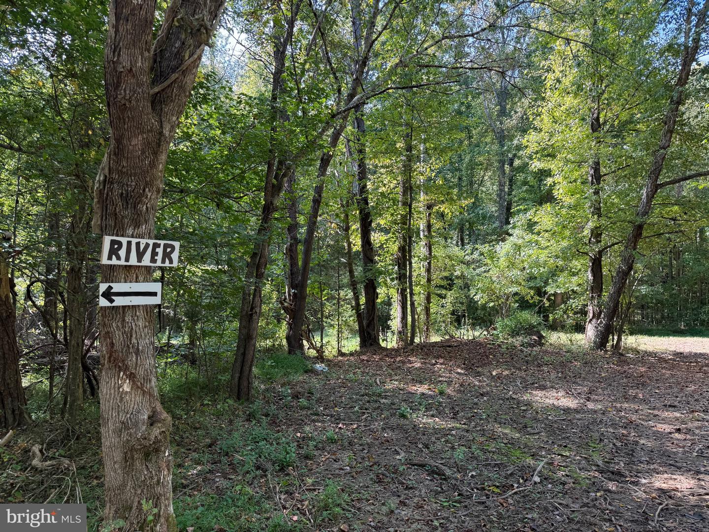 0 COLEMAN MOUNTAIN RD, APPOMATTOX, Virginia 24522, ,Farm,For sale,0 COLEMAN MOUNTAIN RD,VAAV2000038 MLS # VAAV2000038