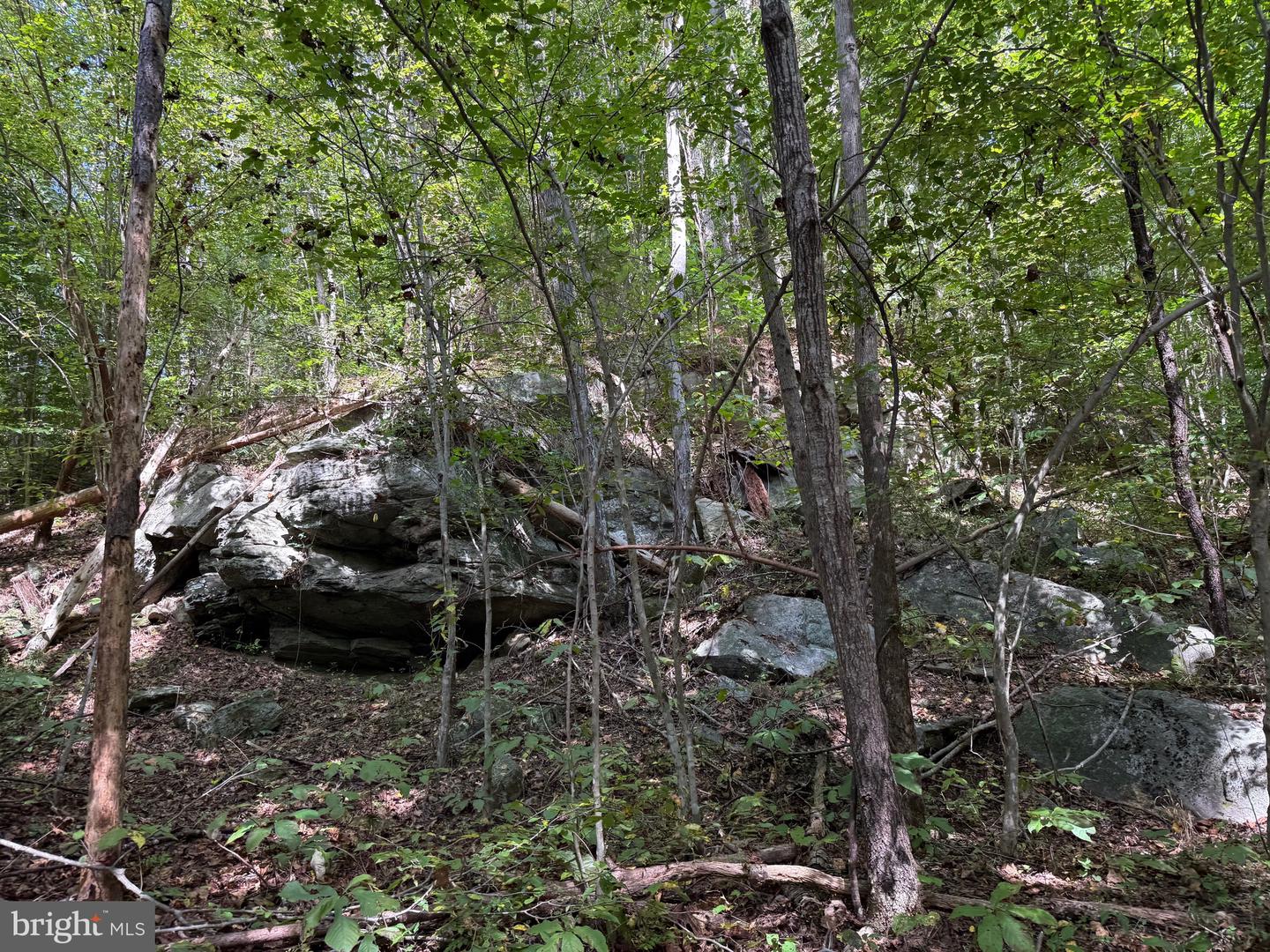 0 COLEMAN MOUNTAIN RD, APPOMATTOX, Virginia 24522, ,Farm,For sale,0 COLEMAN MOUNTAIN RD,VAAV2000038 MLS # VAAV2000038