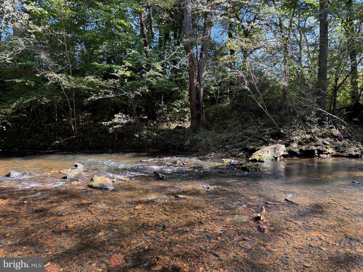 0 COLEMAN MOUNTAIN RD, APPOMATTOX, Virginia 24522, ,Farm,For sale,0 COLEMAN MOUNTAIN RD,VAAV2000038 MLS # VAAV2000038