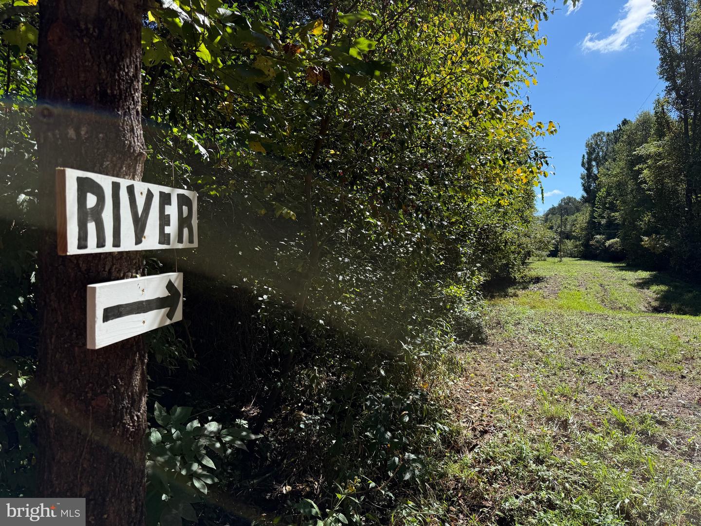 0 COLEMAN MOUNTAIN RD, APPOMATTOX, Virginia 24522, ,Farm,For sale,0 COLEMAN MOUNTAIN RD,VAAV2000038 MLS # VAAV2000038