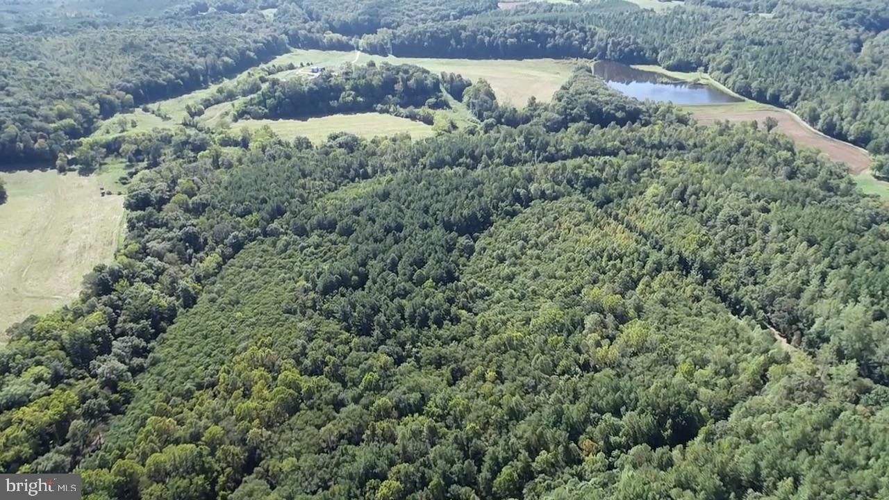 0 COLEMAN MOUNTAIN RD, APPOMATTOX, Virginia 24522, ,Farm,For sale,0 COLEMAN MOUNTAIN RD,VAAV2000038 MLS # VAAV2000038
