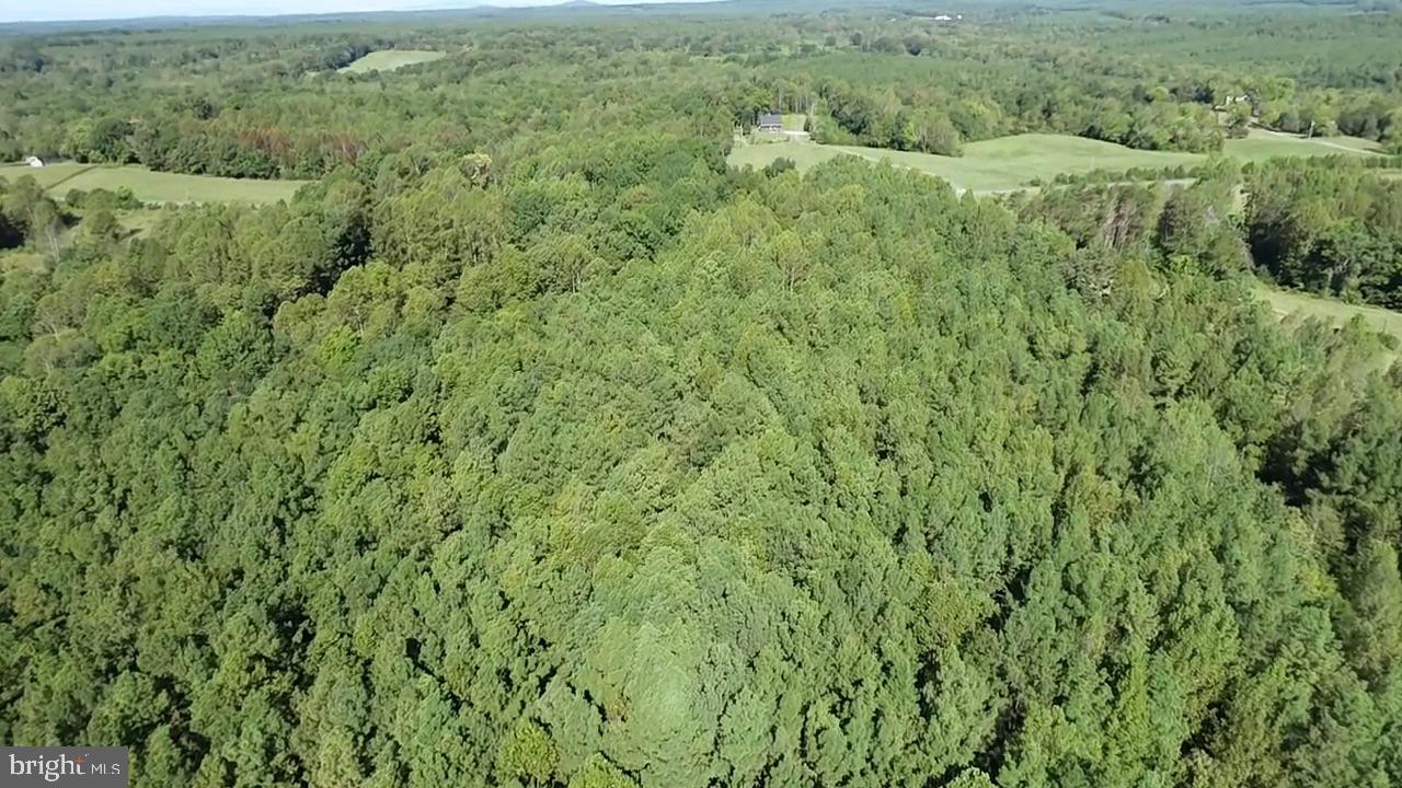 0 COLEMAN MOUNTAIN RD, APPOMATTOX, Virginia 24522, ,Farm,For sale,0 COLEMAN MOUNTAIN RD,VAAV2000038 MLS # VAAV2000038