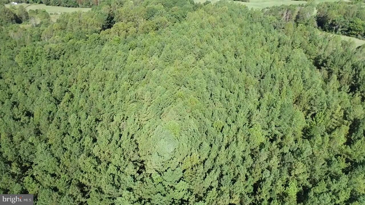 0 COLEMAN MOUNTAIN RD, APPOMATTOX, Virginia 24522, ,Farm,For sale,0 COLEMAN MOUNTAIN RD,VAAV2000038 MLS # VAAV2000038