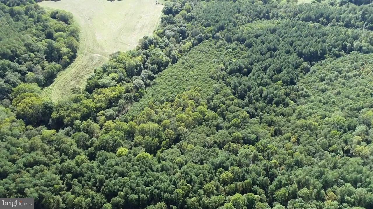 0 COLEMAN MOUNTAIN RD, APPOMATTOX, Virginia 24522, ,Farm,For sale,0 COLEMAN MOUNTAIN RD,VAAV2000038 MLS # VAAV2000038