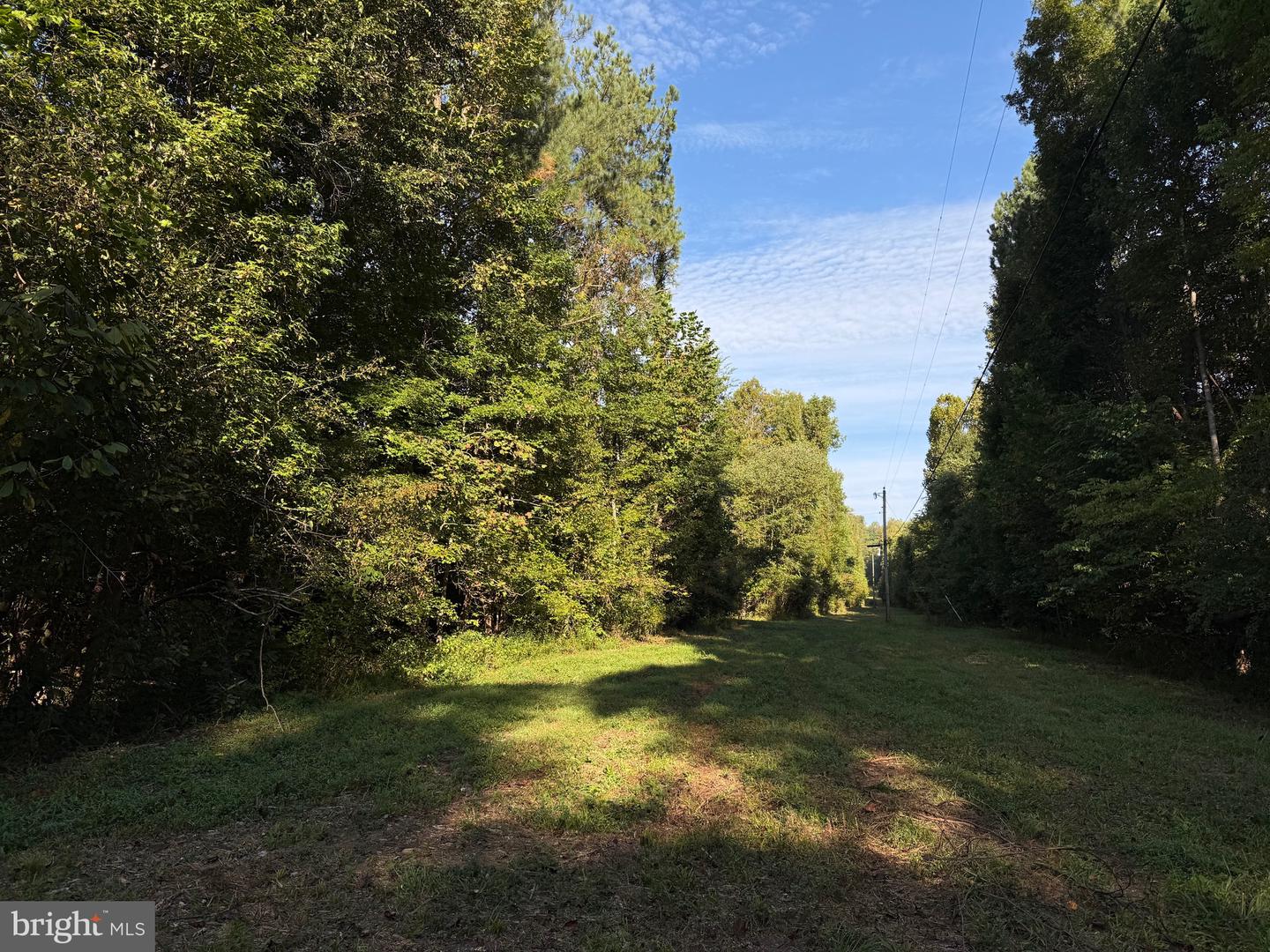 0 COLEMAN MOUNTAIN RD, APPOMATTOX, Virginia 24522, ,Farm,For sale,0 COLEMAN MOUNTAIN RD,VAAV2000038 MLS # VAAV2000038