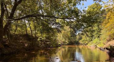 0 COLEMAN MOUNTAIN RD, APPOMATTOX, Virginia 24522, ,Farm,For sale,0 COLEMAN MOUNTAIN RD,VAAV2000038 MLS # VAAV2000038