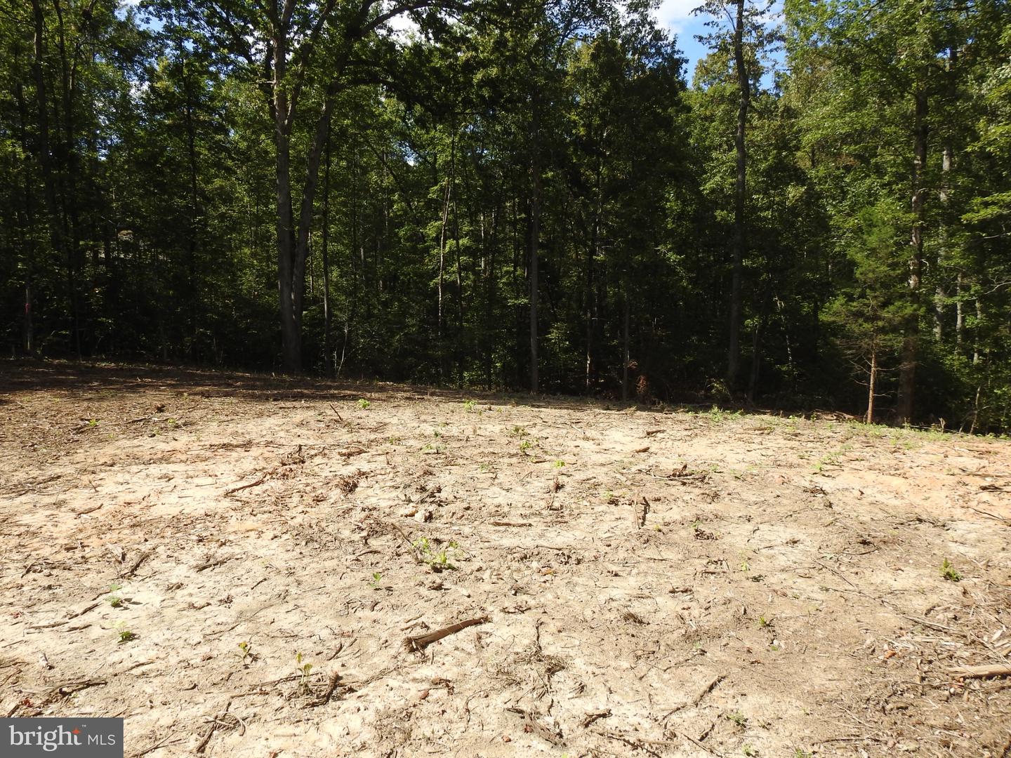 LOT 6 EQUESTRIAN LANDING TRL, BUMPASS, Virginia 23024, ,Land,For sale,LOT 6 EQUESTRIAN LANDING TRL,VALA2008632 MLS # VALA2008632