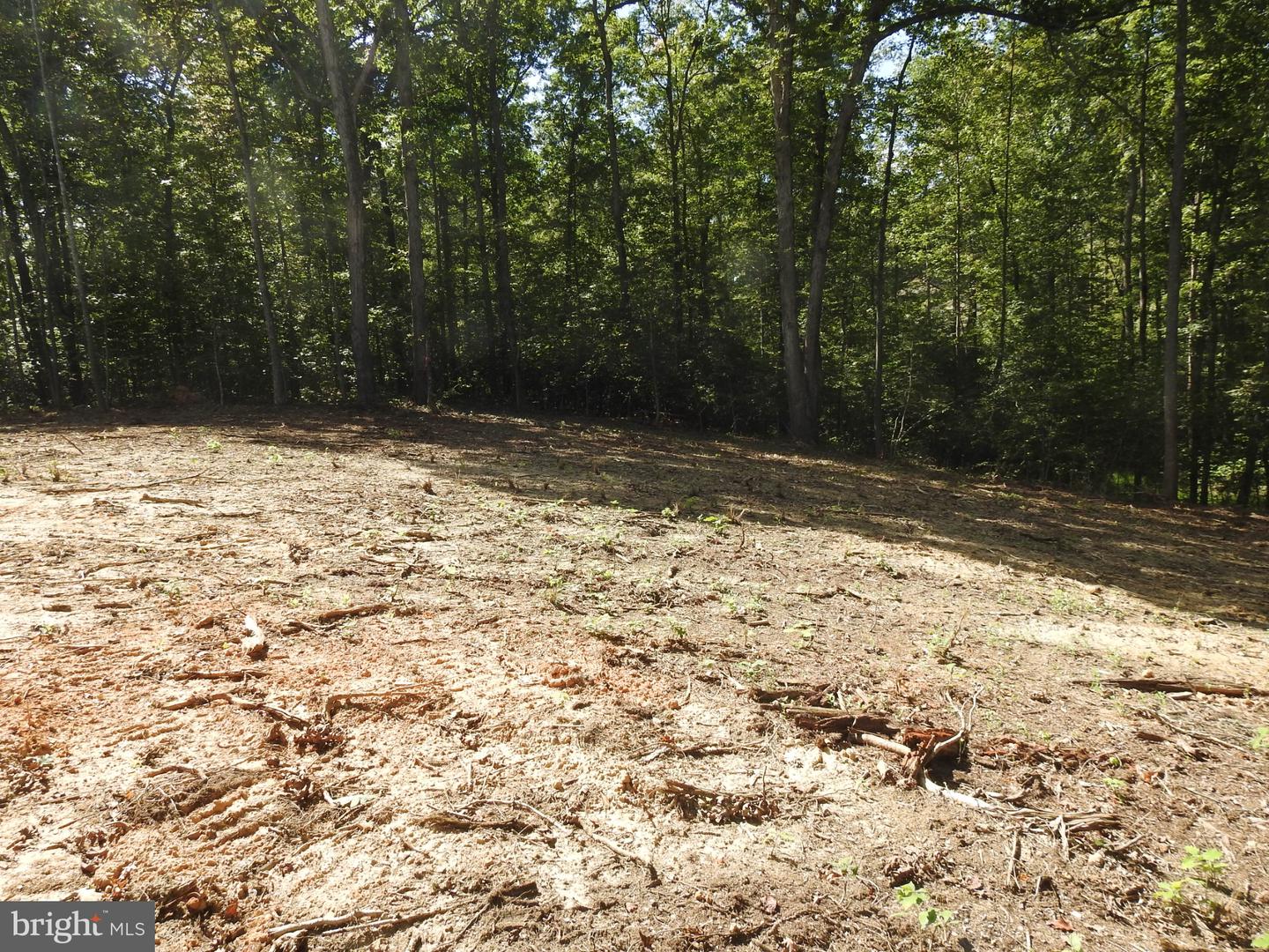 LOT 6 EQUESTRIAN LANDING TRL, BUMPASS, Virginia 23024, ,Land,For sale,LOT 6 EQUESTRIAN LANDING TRL,VALA2008632 MLS # VALA2008632