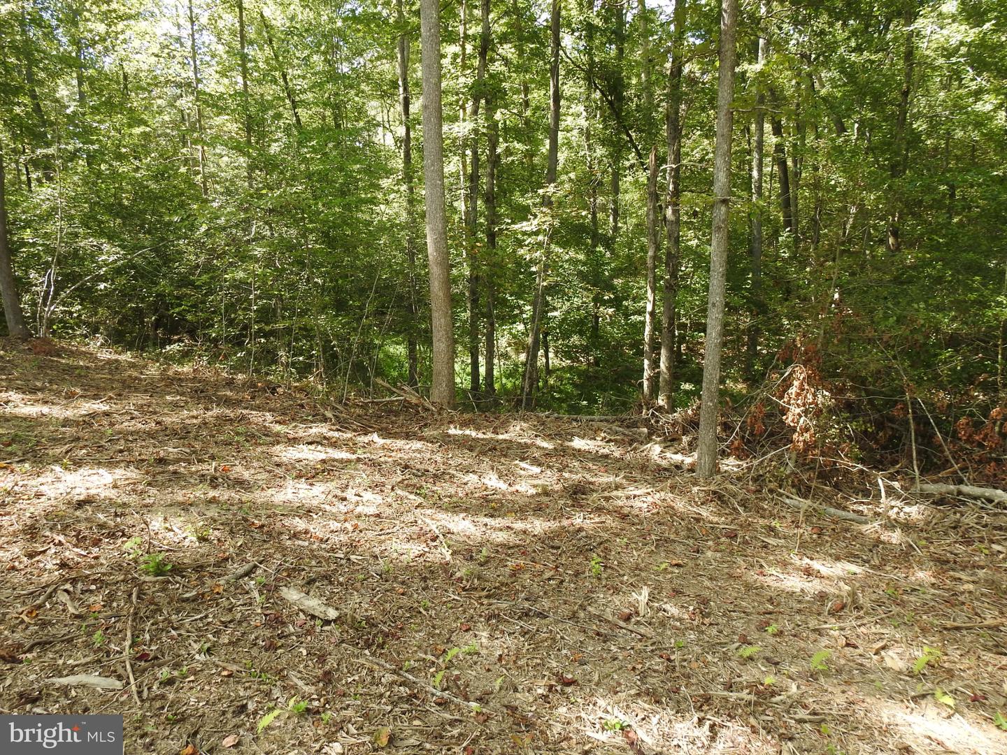 LOT 6 EQUESTRIAN LANDING TRL, BUMPASS, Virginia 23024, ,Land,For sale,LOT 6 EQUESTRIAN LANDING TRL,VALA2008632 MLS # VALA2008632