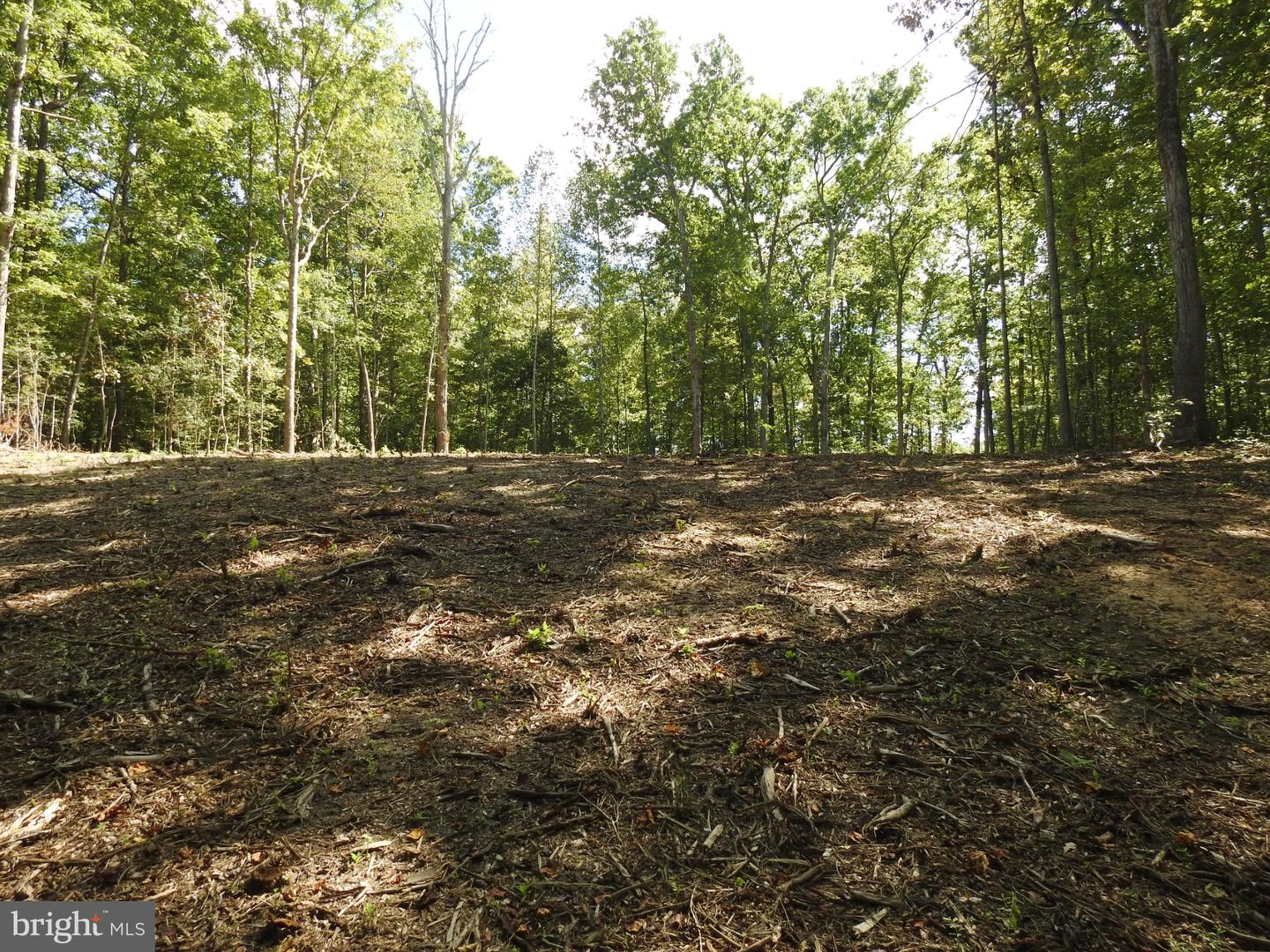 LOT 6 EQUESTRIAN LANDING TRL, BUMPASS, Virginia 23024, ,Land,For sale,LOT 6 EQUESTRIAN LANDING TRL,VALA2008632 MLS # VALA2008632