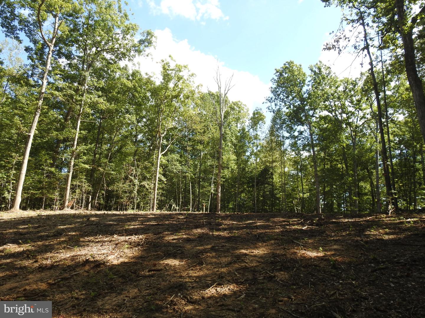 LOT 6 EQUESTRIAN LANDING TRL, BUMPASS, Virginia 23024, ,Land,For sale,LOT 6 EQUESTRIAN LANDING TRL,VALA2008632 MLS # VALA2008632