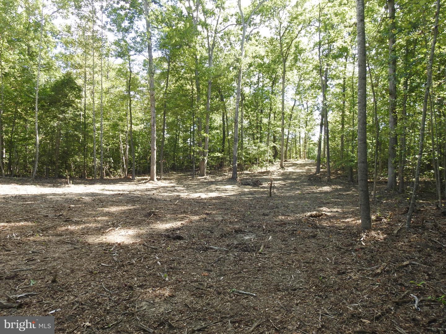 LOT 6 EQUESTRIAN LANDING TRL, BUMPASS, Virginia 23024, ,Land,For sale,LOT 6 EQUESTRIAN LANDING TRL,VALA2008632 MLS # VALA2008632