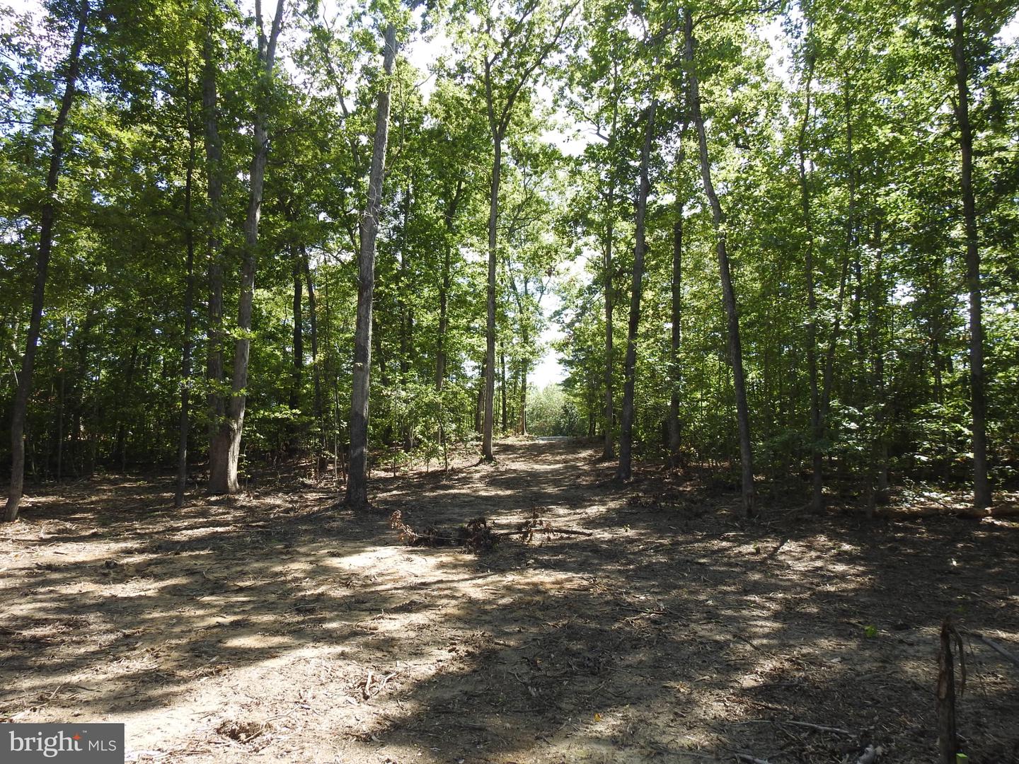 LOT 6 EQUESTRIAN LANDING TRL, BUMPASS, Virginia 23024, ,Land,For sale,LOT 6 EQUESTRIAN LANDING TRL,VALA2008632 MLS # VALA2008632
