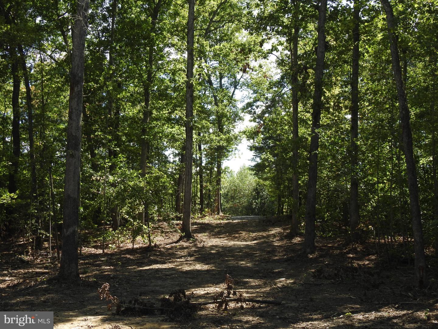 LOT 6 EQUESTRIAN LANDING TRL, BUMPASS, Virginia 23024, ,Land,For sale,LOT 6 EQUESTRIAN LANDING TRL,VALA2008632 MLS # VALA2008632