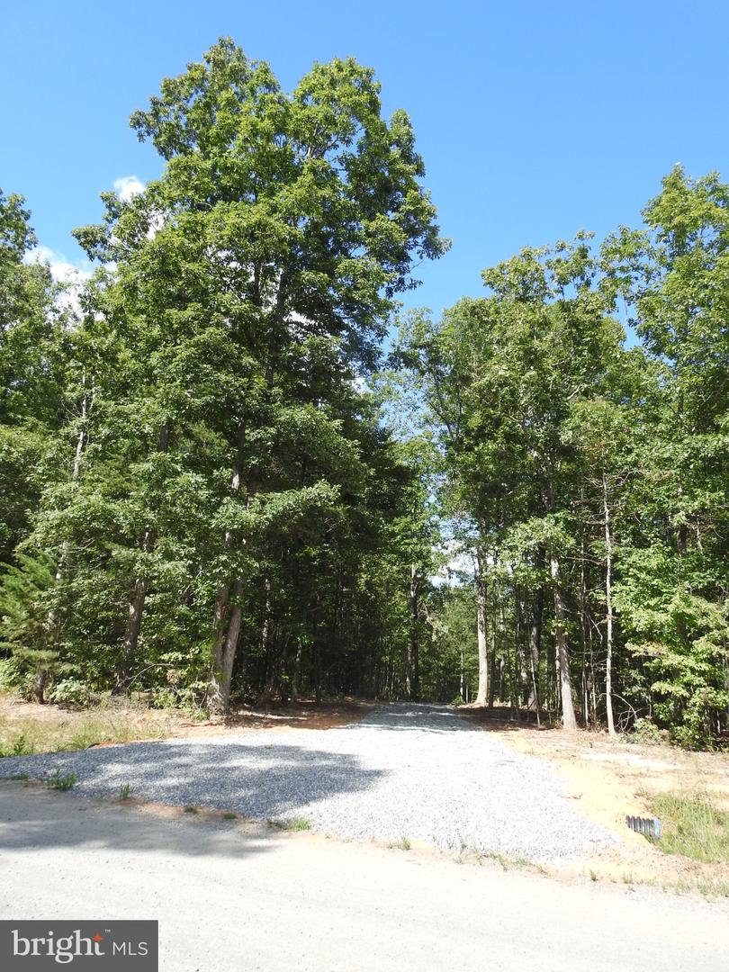 LOT 6 EQUESTRIAN LANDING TRL, BUMPASS, Virginia 23024, ,Land,For sale,LOT 6 EQUESTRIAN LANDING TRL,VALA2008632 MLS # VALA2008632