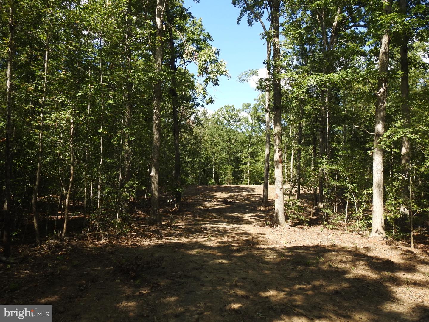 LOT 6 EQUESTRIAN LANDING TRL, BUMPASS, Virginia 23024, ,Land,For sale,LOT 6 EQUESTRIAN LANDING TRL,VALA2008632 MLS # VALA2008632
