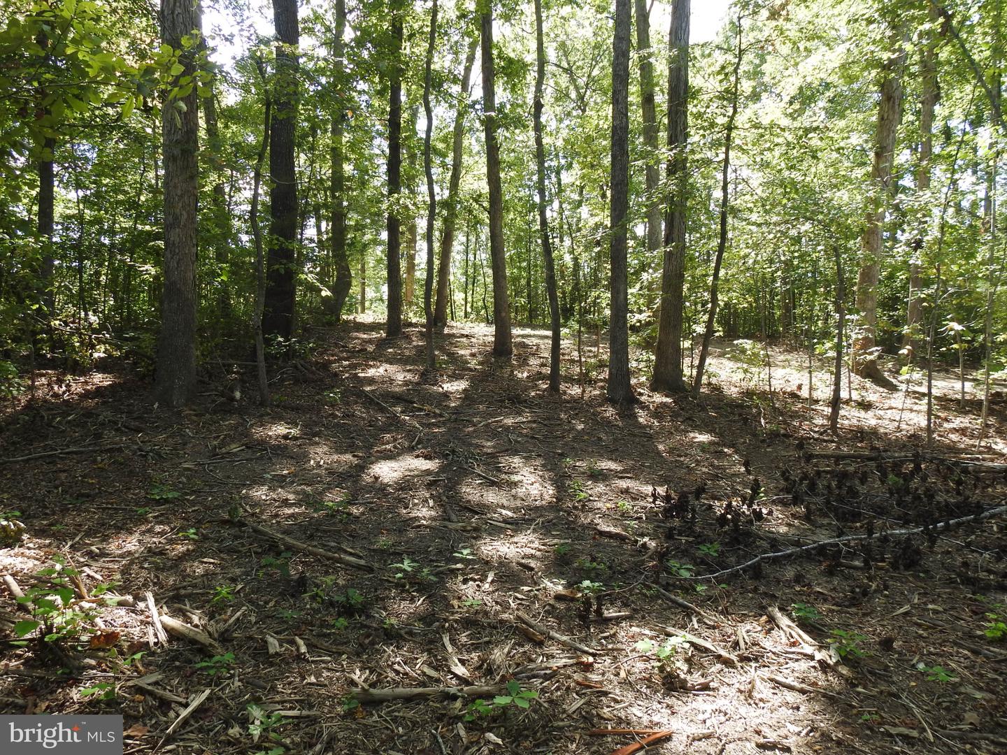 LOT 6 EQUESTRIAN LANDING TRL, BUMPASS, Virginia 23024, ,Land,For sale,LOT 6 EQUESTRIAN LANDING TRL,VALA2008632 MLS # VALA2008632