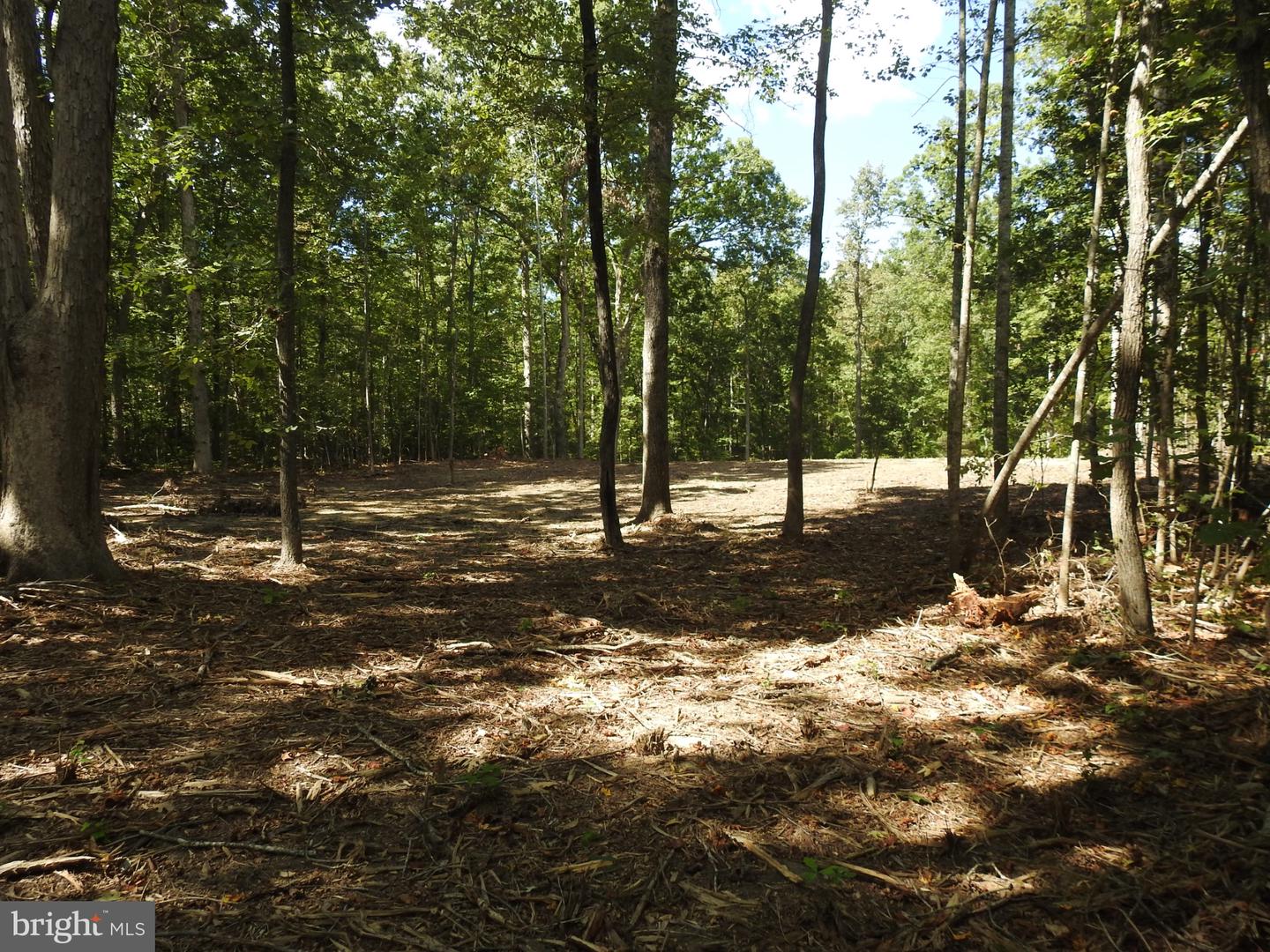 LOT 6 EQUESTRIAN LANDING TRL, BUMPASS, Virginia 23024, ,Land,For sale,LOT 6 EQUESTRIAN LANDING TRL,VALA2008632 MLS # VALA2008632