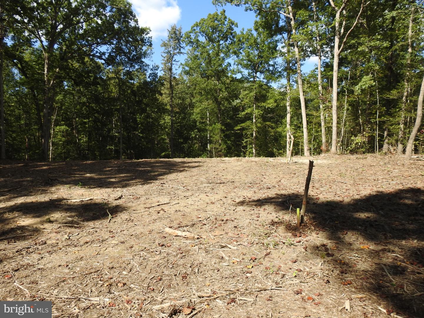 LOT 6 EQUESTRIAN LANDING TRL, BUMPASS, Virginia 23024, ,Land,For sale,LOT 6 EQUESTRIAN LANDING TRL,VALA2008632 MLS # VALA2008632