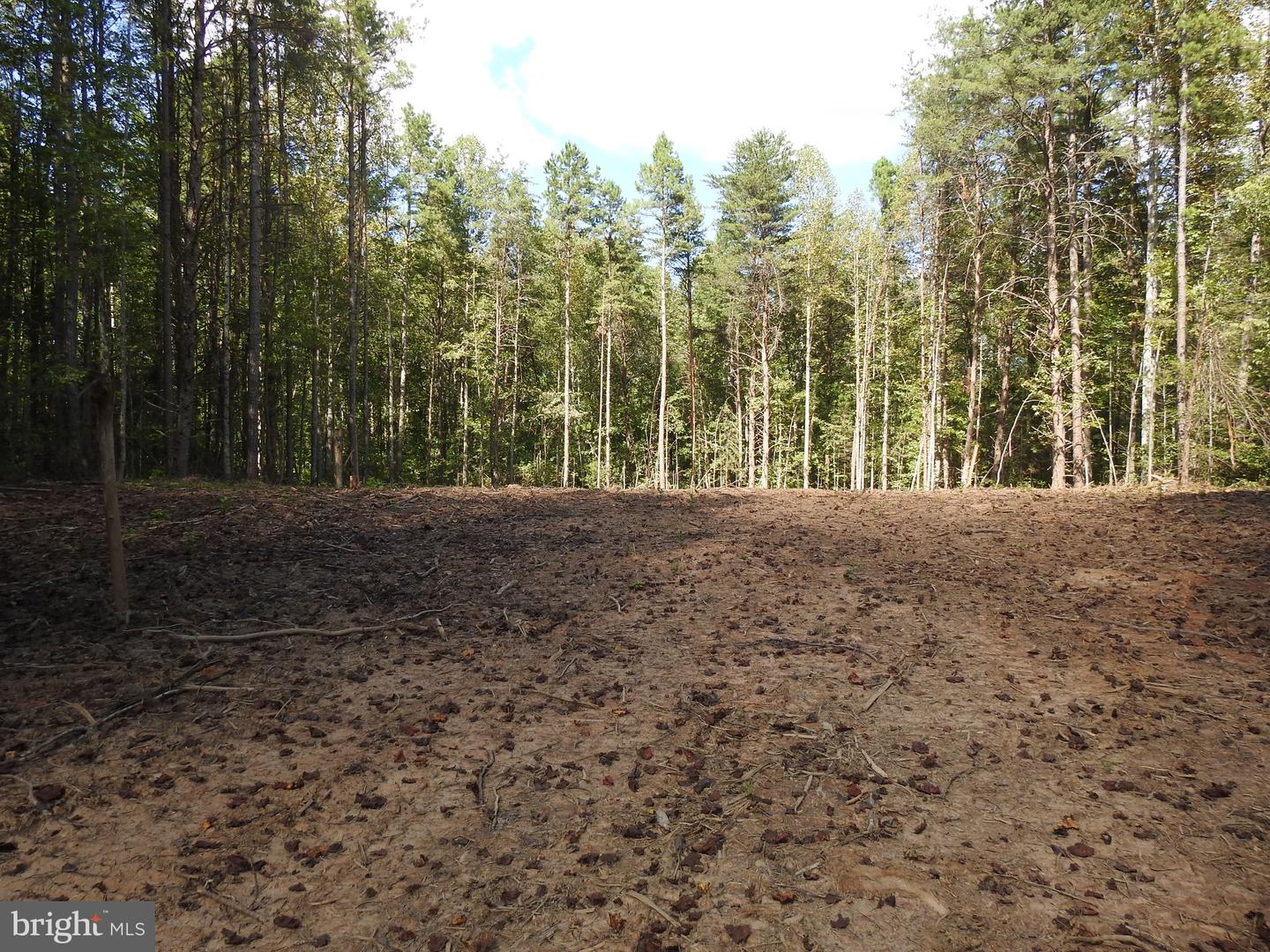 LOT 8 EQUESTRIAN LANDING TRL, BUMPASS, Virginia 23024, ,Land,For sale,LOT 8 EQUESTRIAN LANDING TRL,VALA2008634 MLS # VALA2008634