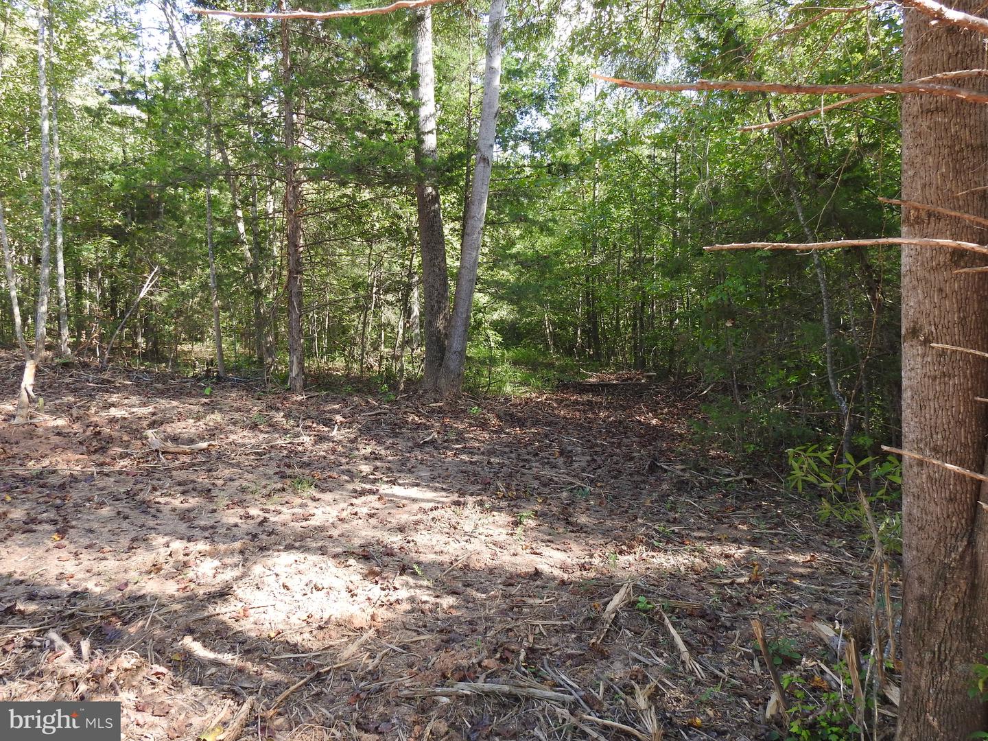 LOT 8 EQUESTRIAN LANDING TRL, BUMPASS, Virginia 23024, ,Land,For sale,LOT 8 EQUESTRIAN LANDING TRL,VALA2008634 MLS # VALA2008634