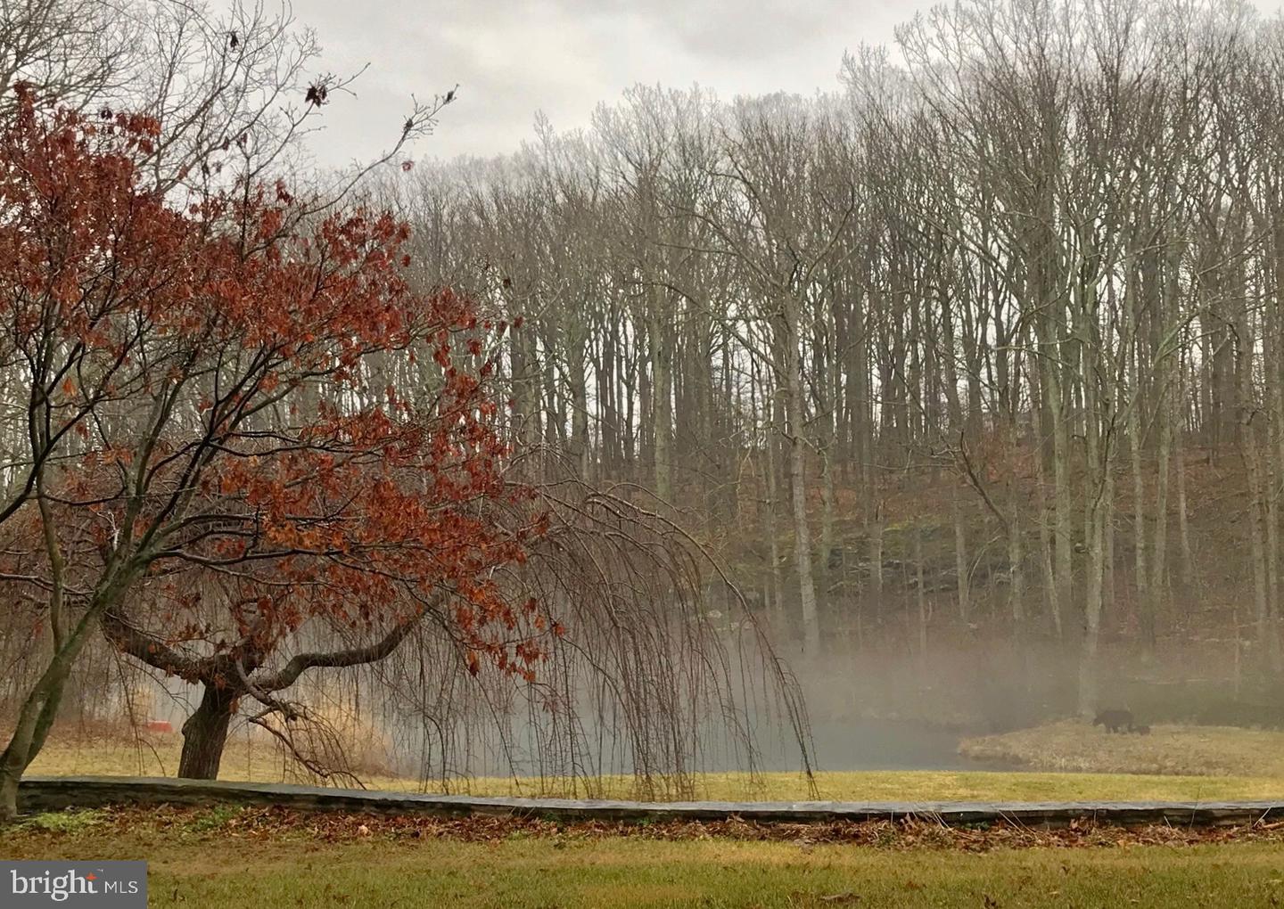 7263 LITTLE RIVER LN, THE PLAINS, Virginia 20198, 4 Bedrooms Bedrooms, ,4 BathroomsBathrooms,Residential,For sale,7263 LITTLE RIVER LN,VAFQ2018100 MLS # VAFQ2018100