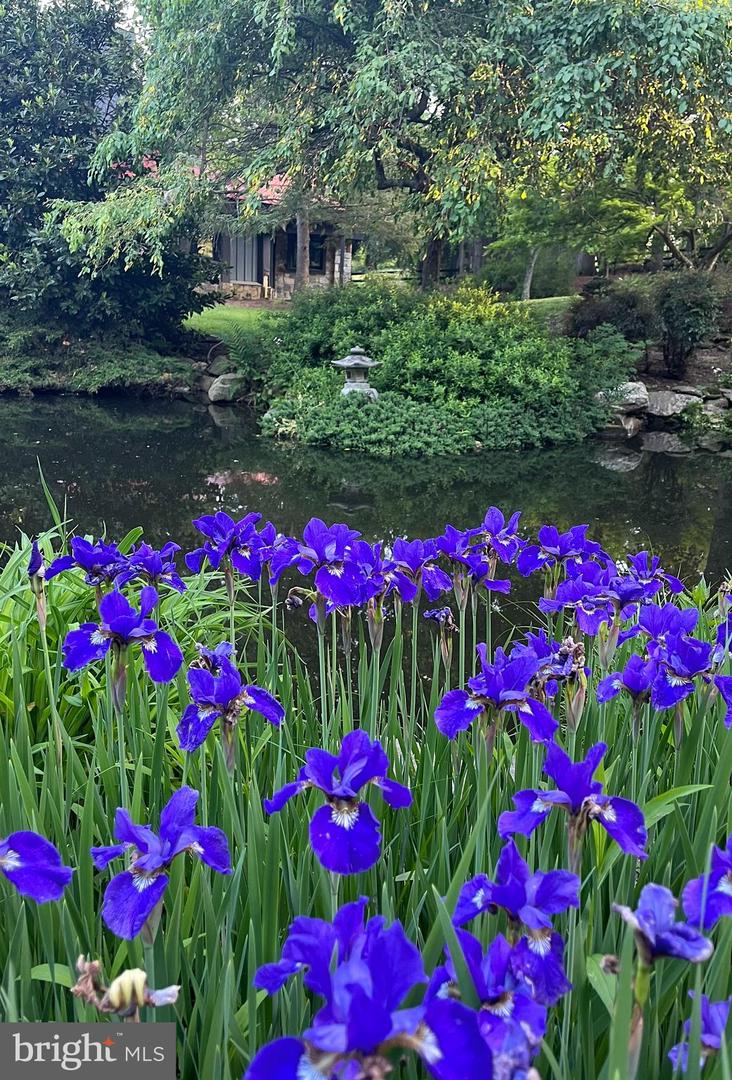 7263 LITTLE RIVER LN, THE PLAINS, Virginia 20198, 4 Bedrooms Bedrooms, ,4 BathroomsBathrooms,Residential,For sale,7263 LITTLE RIVER LN,VAFQ2018100 MLS # VAFQ2018100