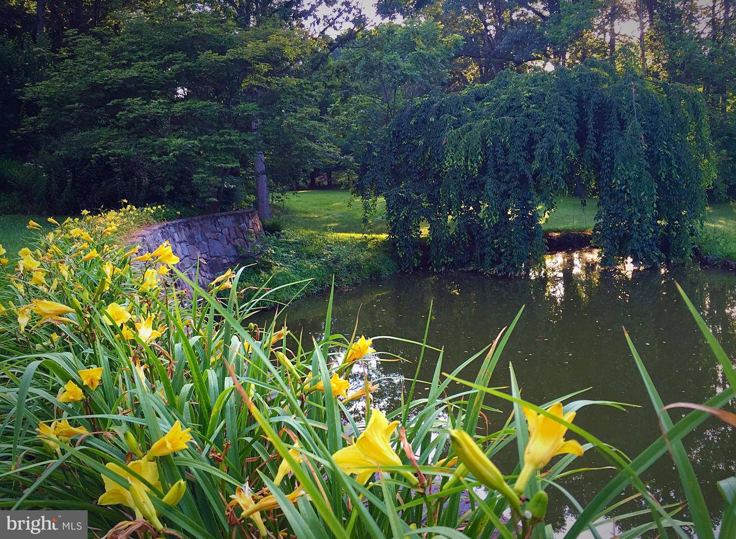 7263 LITTLE RIVER LN, THE PLAINS, Virginia 20198, 4 Bedrooms Bedrooms, ,4 BathroomsBathrooms,Residential,For sale,7263 LITTLE RIVER LN,VAFQ2018100 MLS # VAFQ2018100