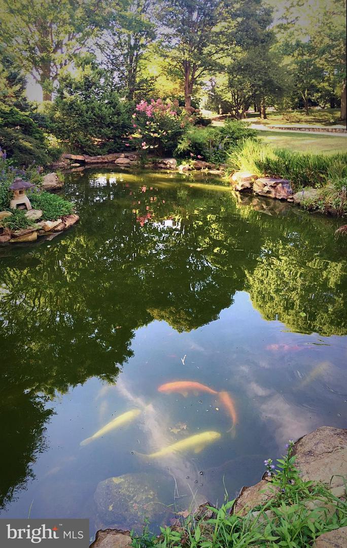 7263 LITTLE RIVER LN, THE PLAINS, Virginia 20198, 4 Bedrooms Bedrooms, ,4 BathroomsBathrooms,Residential,For sale,7263 LITTLE RIVER LN,VAFQ2018100 MLS # VAFQ2018100