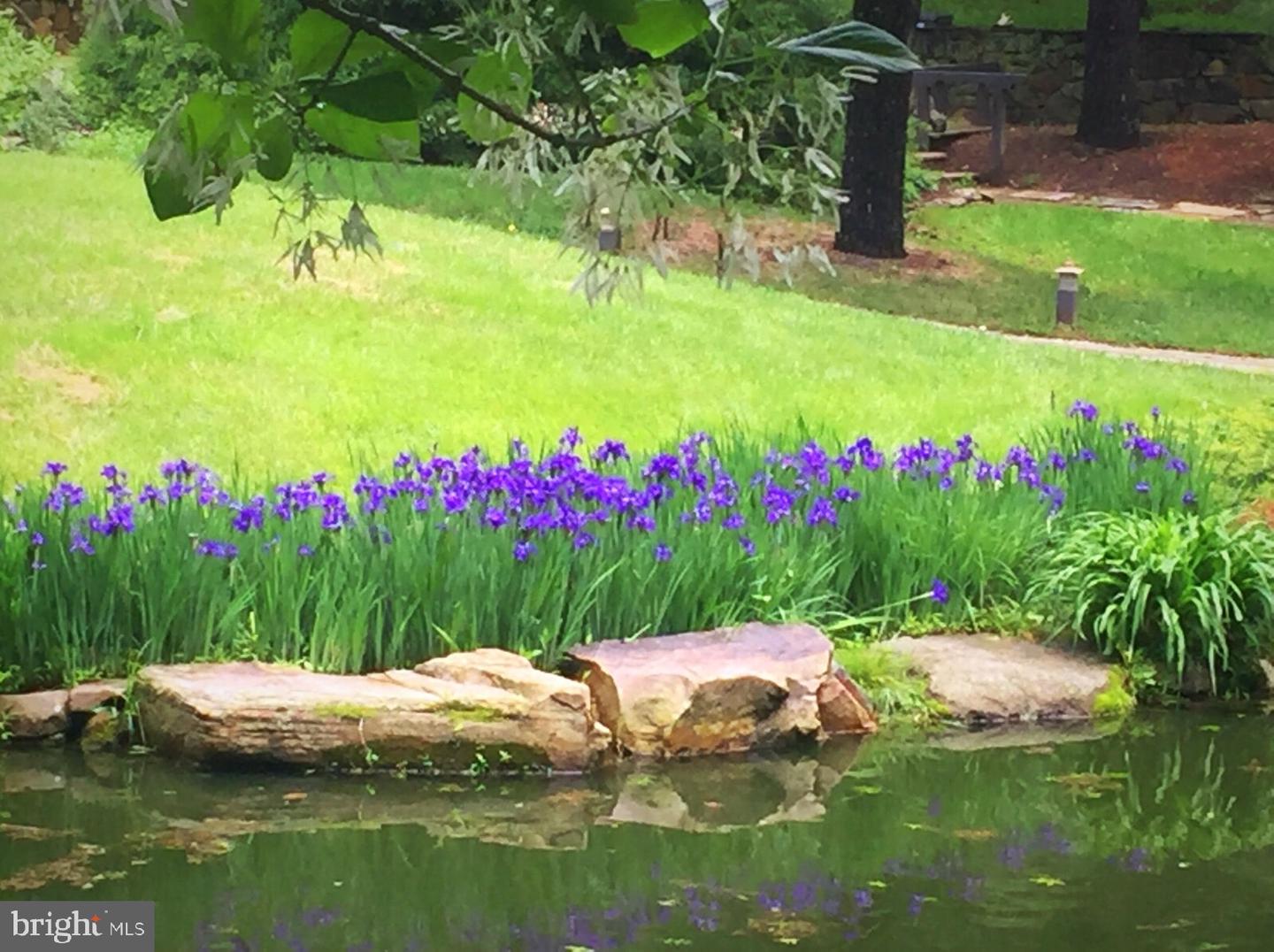 7263 LITTLE RIVER LN, THE PLAINS, Virginia 20198, 4 Bedrooms Bedrooms, ,4 BathroomsBathrooms,Residential,For sale,7263 LITTLE RIVER LN,VAFQ2018100 MLS # VAFQ2018100