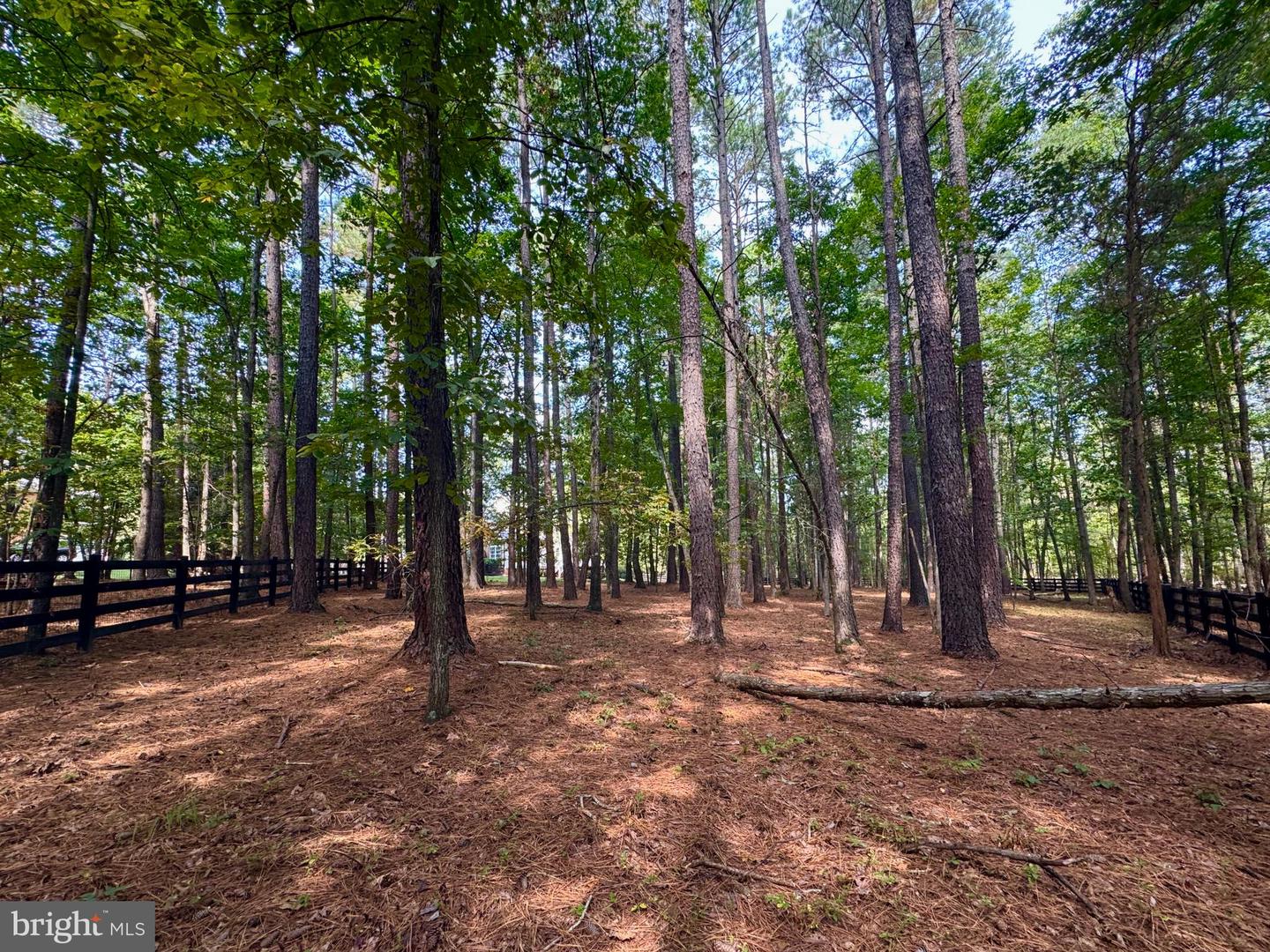 11000 FARMVIEW WAY, SPOTSYLVANIA, Virginia 22551, 4 Bedrooms Bedrooms, ,2 BathroomsBathrooms,Residential,For sale,11000 FARMVIEW WAY,VASP2036336 MLS # VASP2036336