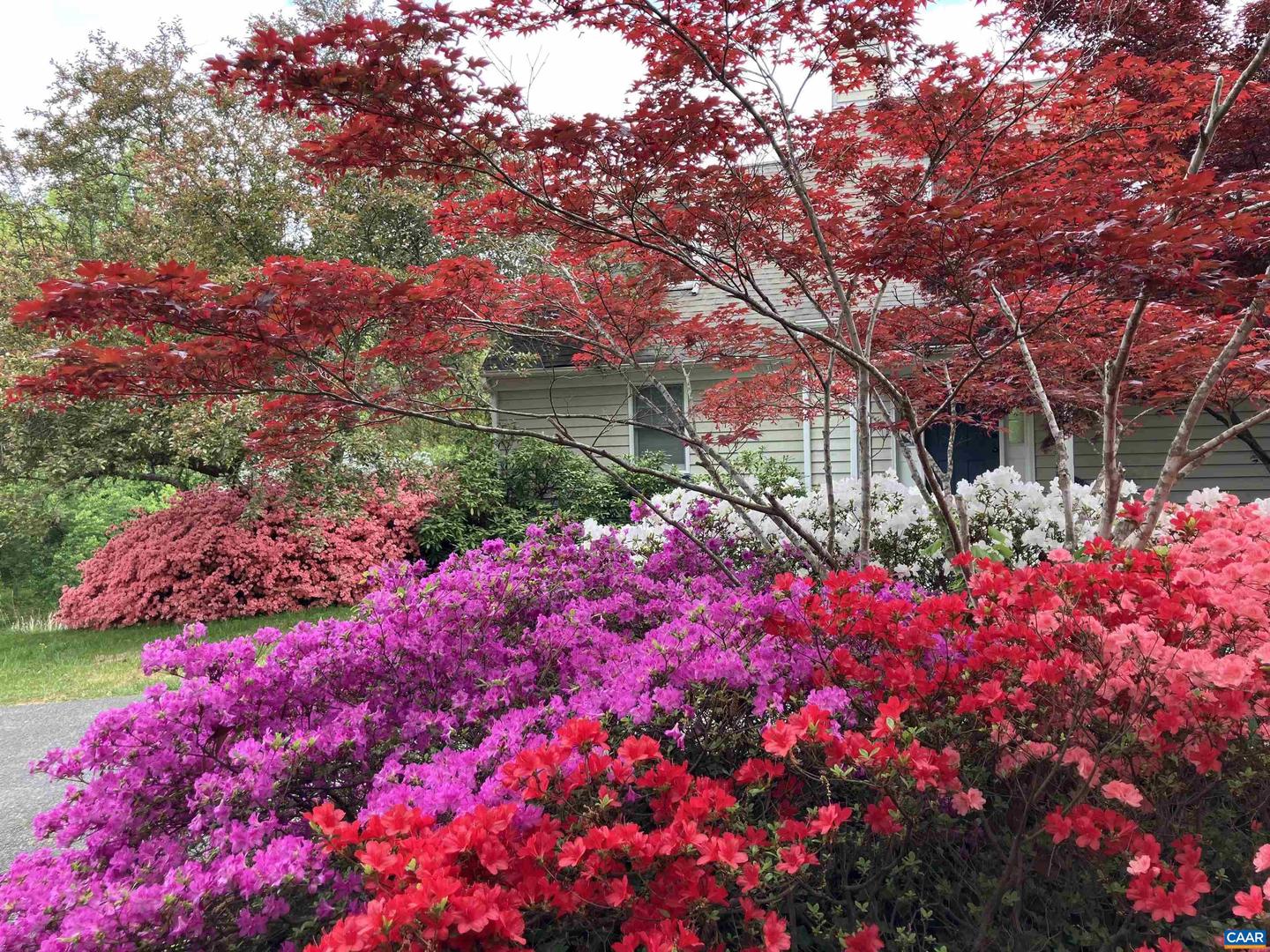 4051 FREE UNION RD, CHARLOTTESVILLE, Virginia 22901, 5 Bedrooms Bedrooms, ,3 BathroomsBathrooms,Residential,For sale,4051 FREE UNION RD,668840 MLS # 668840