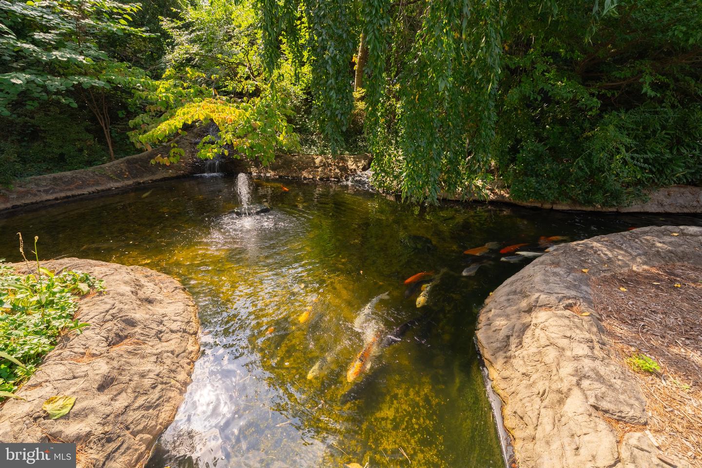 7621 PROVINCIAL DR #304, MCLEAN, Virginia 22102, 1 Bedroom Bedrooms, ,1 BathroomBathrooms,Residential,For sale,7621 PROVINCIAL DR #304,VAFX2267650 MLS # VAFX2267650 7621 PROVINCIAL DR #304, MCLEAN, Virginia 22102, 1 Bedroom Bedrooms, ,1 BathroomBathrooms,Residential,For sale,7621 PROVINCIAL DR #304,VAFX2267650 MLS # VAFX2267650