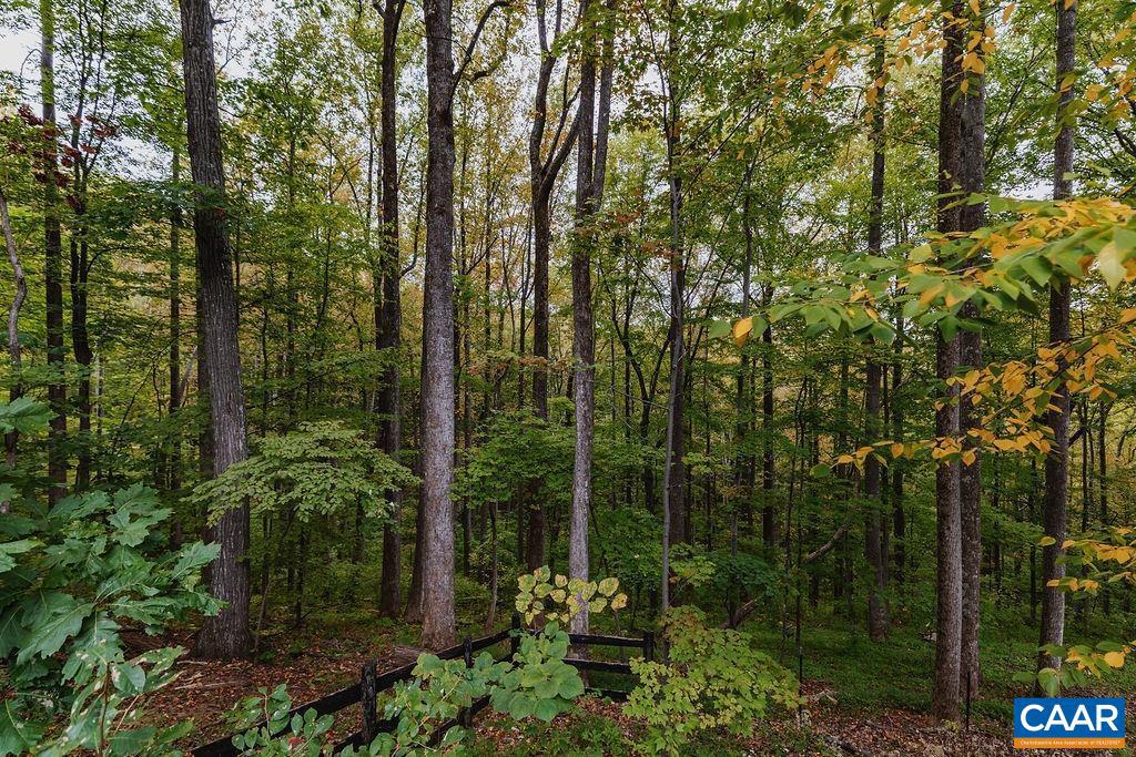 284 SHINGLE OAK LN, NELLYSFORD, Virginia 22958, 4 Bedrooms Bedrooms, ,4 BathroomsBathrooms,Residential,For sale,284 SHINGLE OAK LN,669260 MLS # 669260