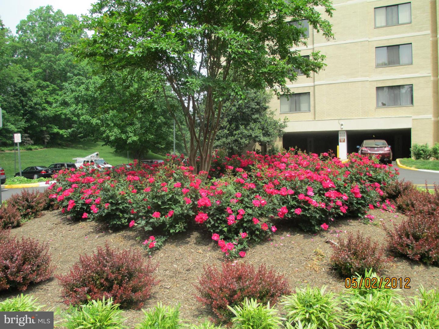 205 YOAKUM PKWY #1826, ALEXANDRIA, Virginia 22304, 3 Bedrooms Bedrooms, ,2 BathroomsBathrooms,Residential,For sale,205 YOAKUM PKWY #1826,VAAX2050126 MLS # VAAX2050126