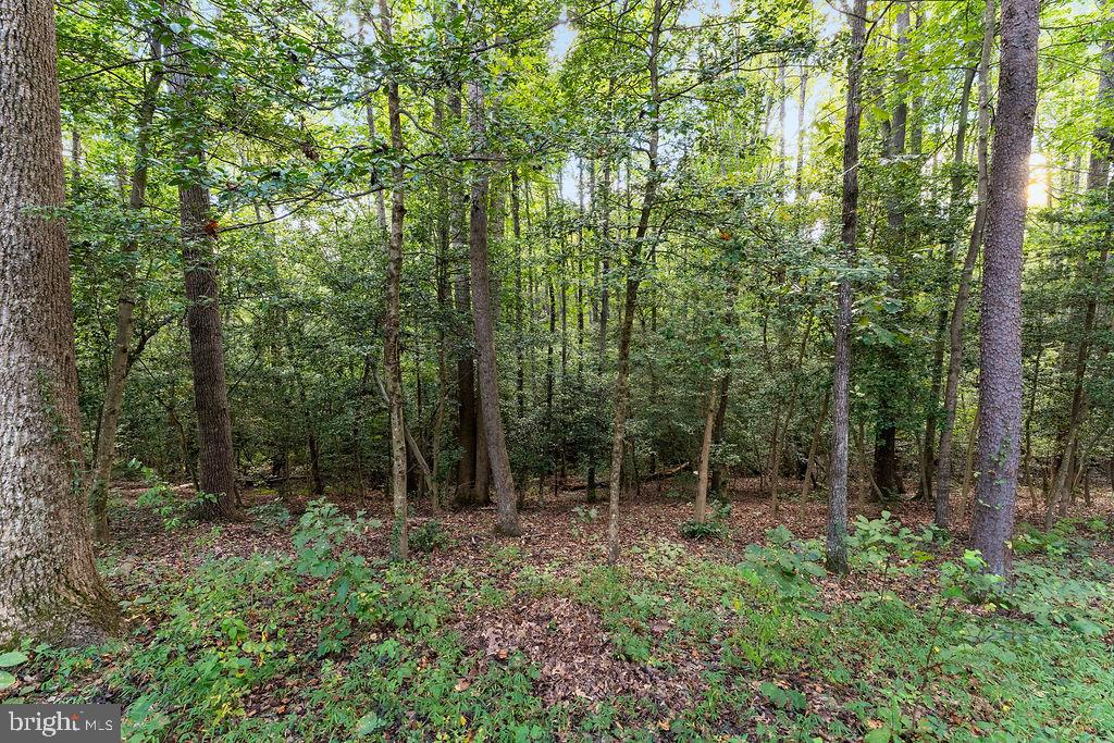 7525 NYLAND RD, FREDERICKSBURG, Virginia 22408, 3 Bedrooms Bedrooms, ,2 BathroomsBathrooms,Residential,7525 NYLAND RD,VASP2035978 MLS # VASP2035978