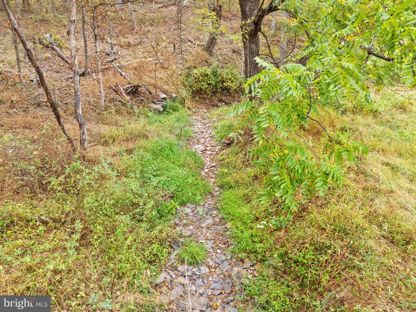 LOT 24M BLOOMERY PIKE, CROSS JUNCTION, Virginia 22625, ,Land,For sale,LOT 24M BLOOMERY PIKE,VAFV2036920 MLS # VAFV2036920