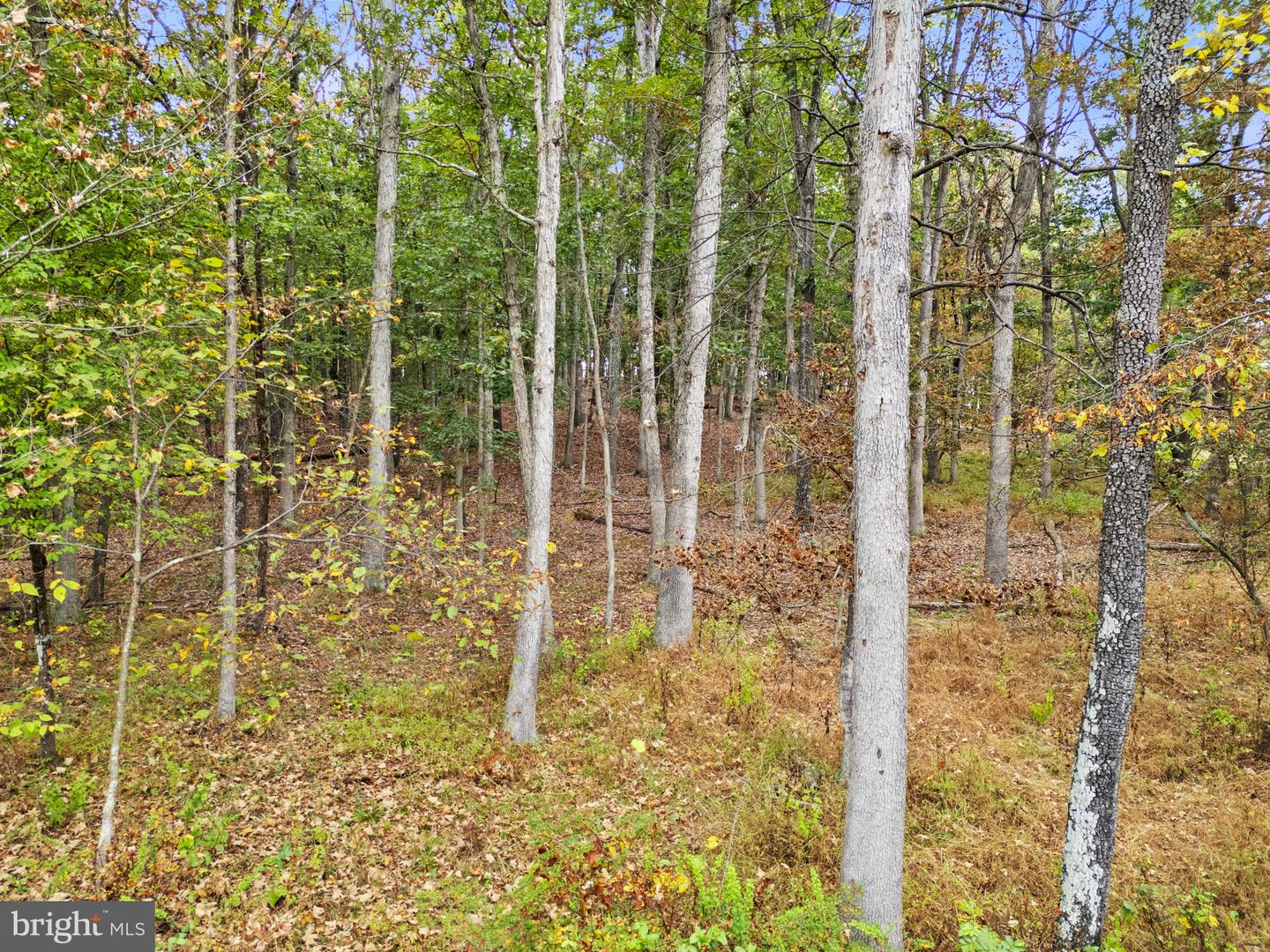 LOT 24M BLOOMERY PIKE, CROSS JUNCTION, Virginia 22625, ,Land,For sale,LOT 24M BLOOMERY PIKE,VAFV2036920 MLS # VAFV2036920