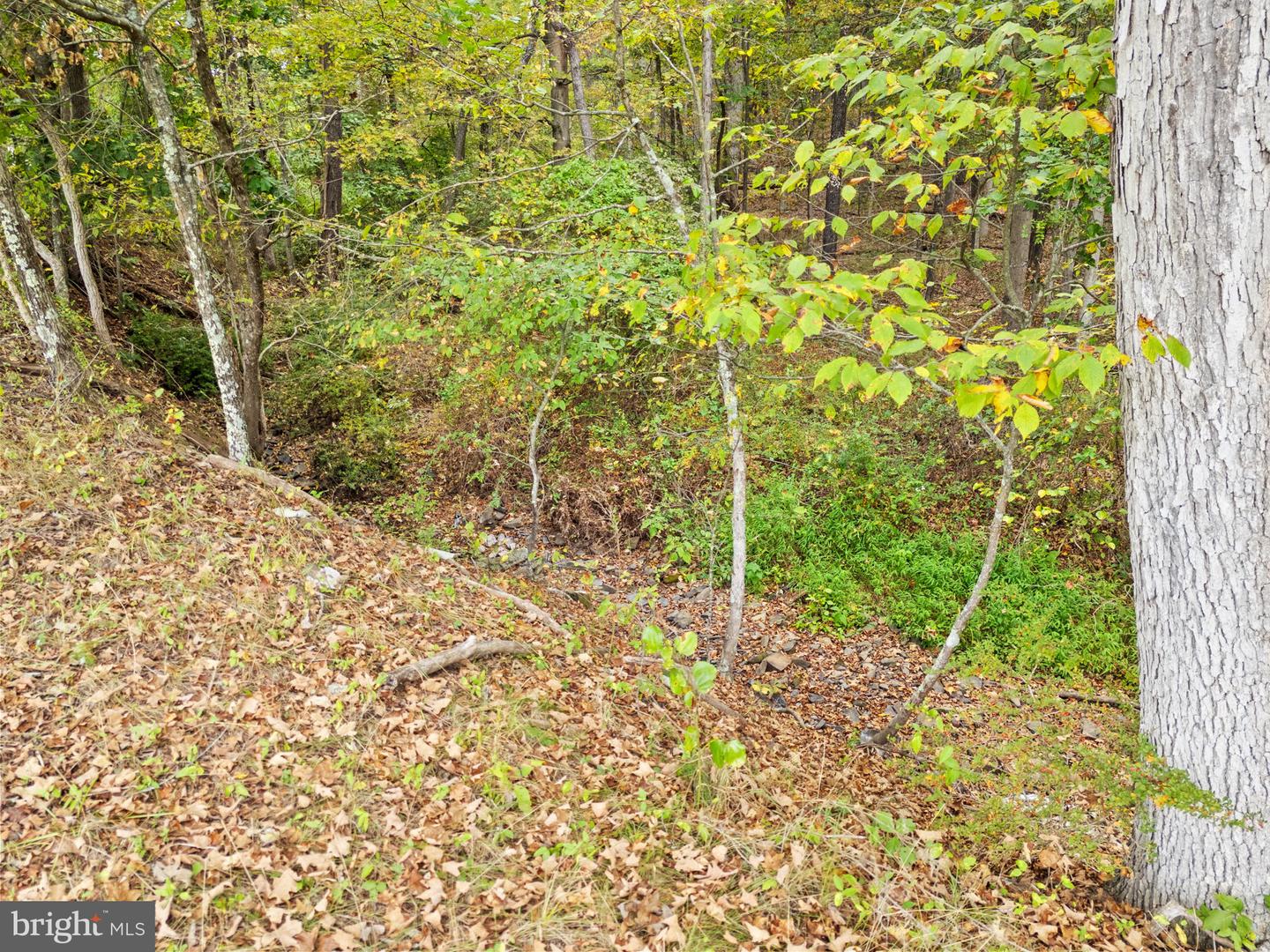 LOT 24M BLOOMERY PIKE, CROSS JUNCTION, Virginia 22625, ,Land,For sale,LOT 24M BLOOMERY PIKE,VAFV2036920 MLS # VAFV2036920