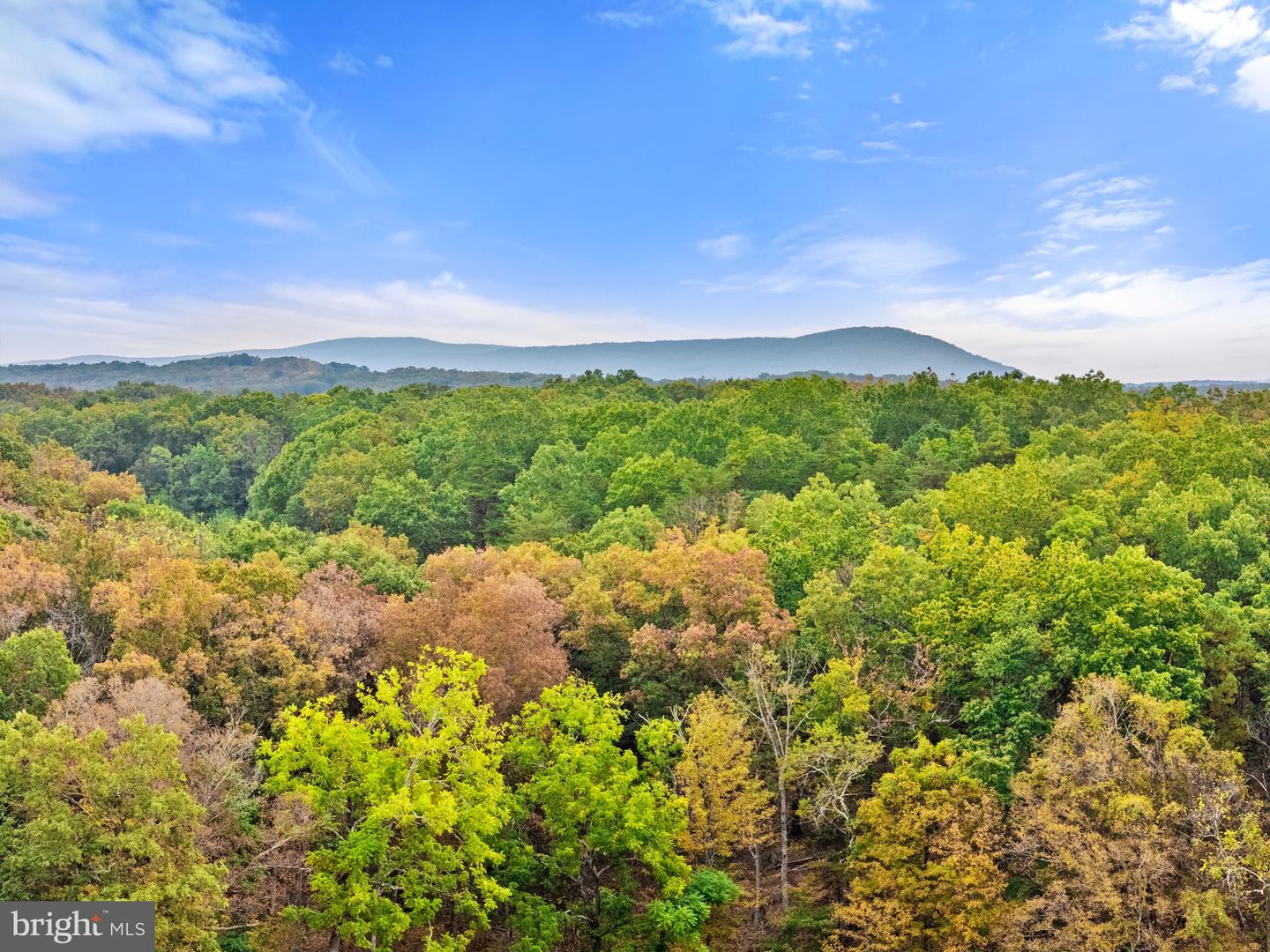 LOT 24M BLOOMERY PIKE, CROSS JUNCTION, Virginia 22625, ,Land,For sale,LOT 24M BLOOMERY PIKE,VAFV2036920 MLS # VAFV2036920