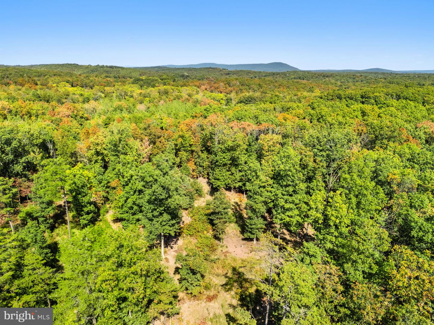 LOT 24M BLOOMERY PIKE, CROSS JUNCTION, Virginia 22625, ,Land,For sale,LOT 24M BLOOMERY PIKE,VAFV2036920 MLS # VAFV2036920