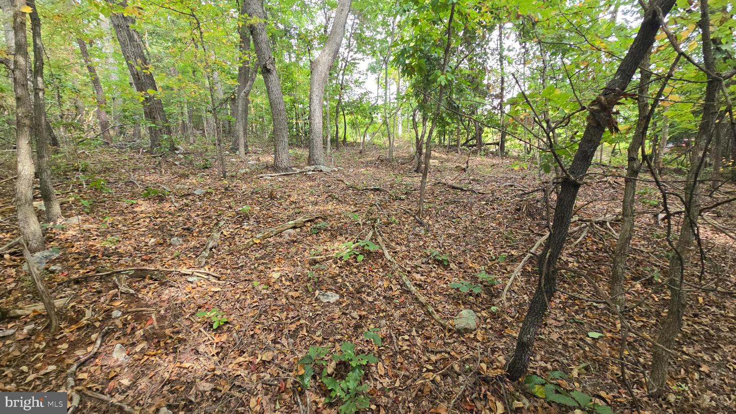 LOT 20 LONG VIEW DR, LURAY, Virginia 22835, ,Land,For sale,LOT 20 LONG VIEW DR,VAPA2005400 MLS # VAPA2005400