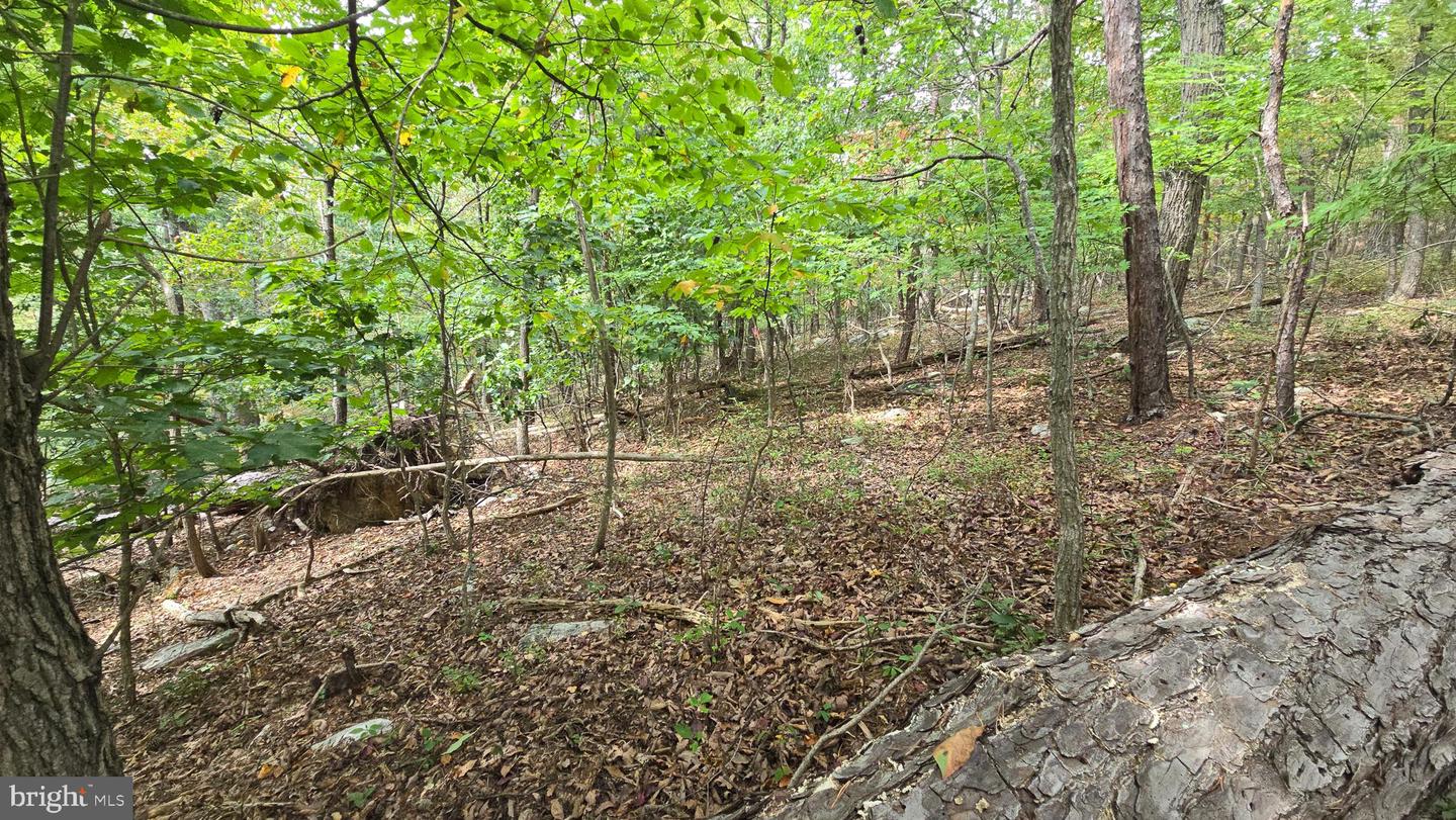 LOT 20 LONG VIEW DR, LURAY, Virginia 22835, ,Land,For sale,LOT 20 LONG VIEW DR,VAPA2005400 MLS # VAPA2005400