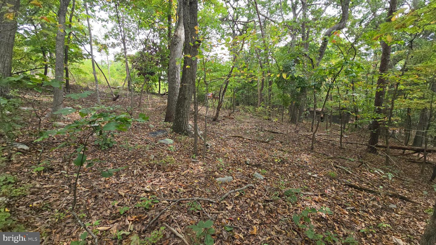 LOT 20 LONG VIEW DR, LURAY, Virginia 22835, ,Land,For sale,LOT 20 LONG VIEW DR,VAPA2005400 MLS # VAPA2005400