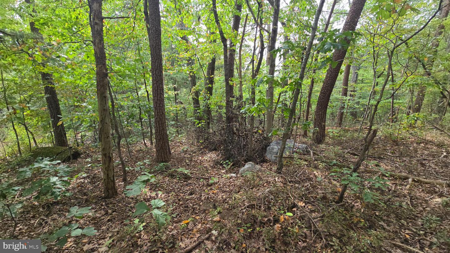 LOT 20 LONG VIEW DR, LURAY, Virginia 22835, ,Land,For sale,LOT 20 LONG VIEW DR,VAPA2005400 MLS # VAPA2005400