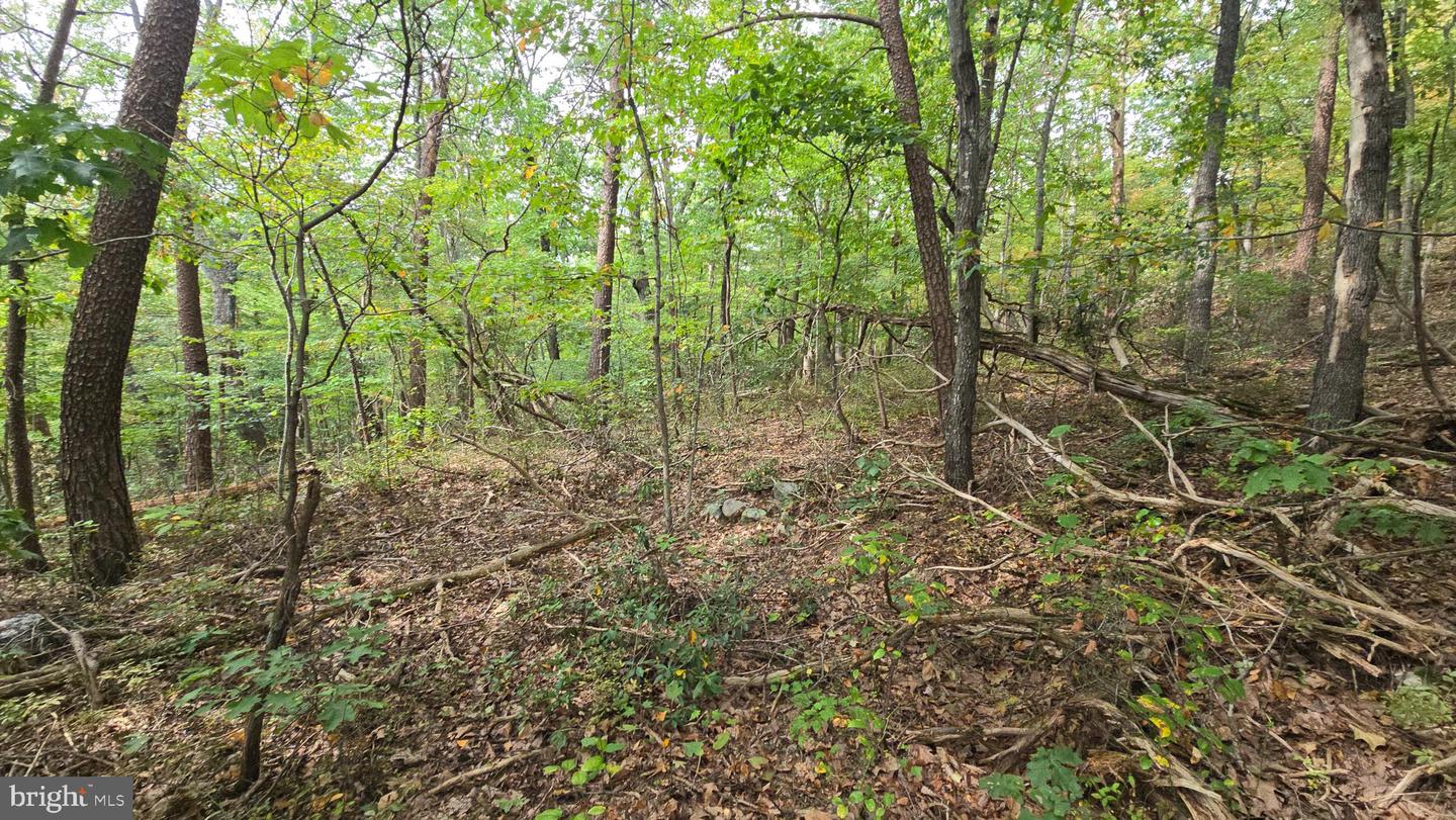 LOT 20 LONG VIEW DR, LURAY, Virginia 22835, ,Land,For sale,LOT 20 LONG VIEW DR,VAPA2005400 MLS # VAPA2005400